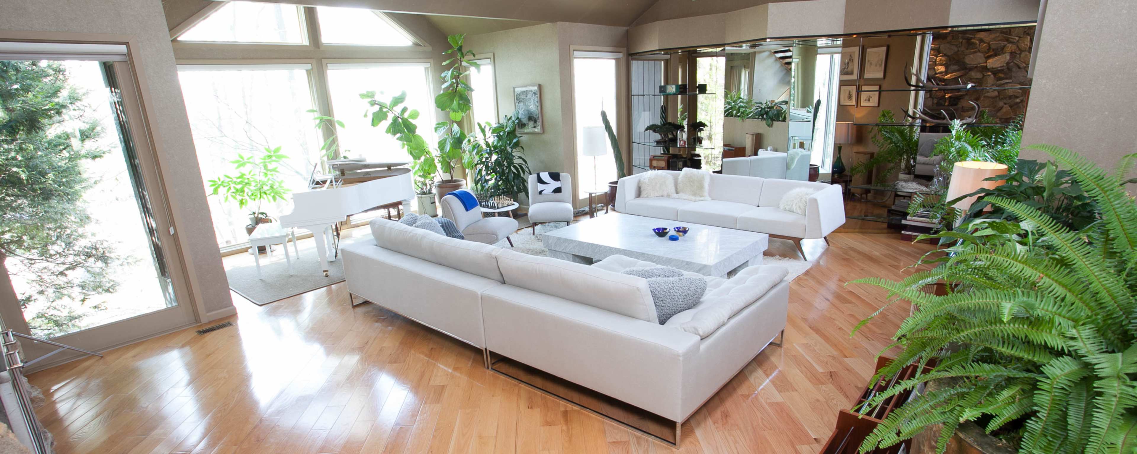 A spacious living room with large windows, featuring a white sofa, a coffee table, and various plants throughout the space.