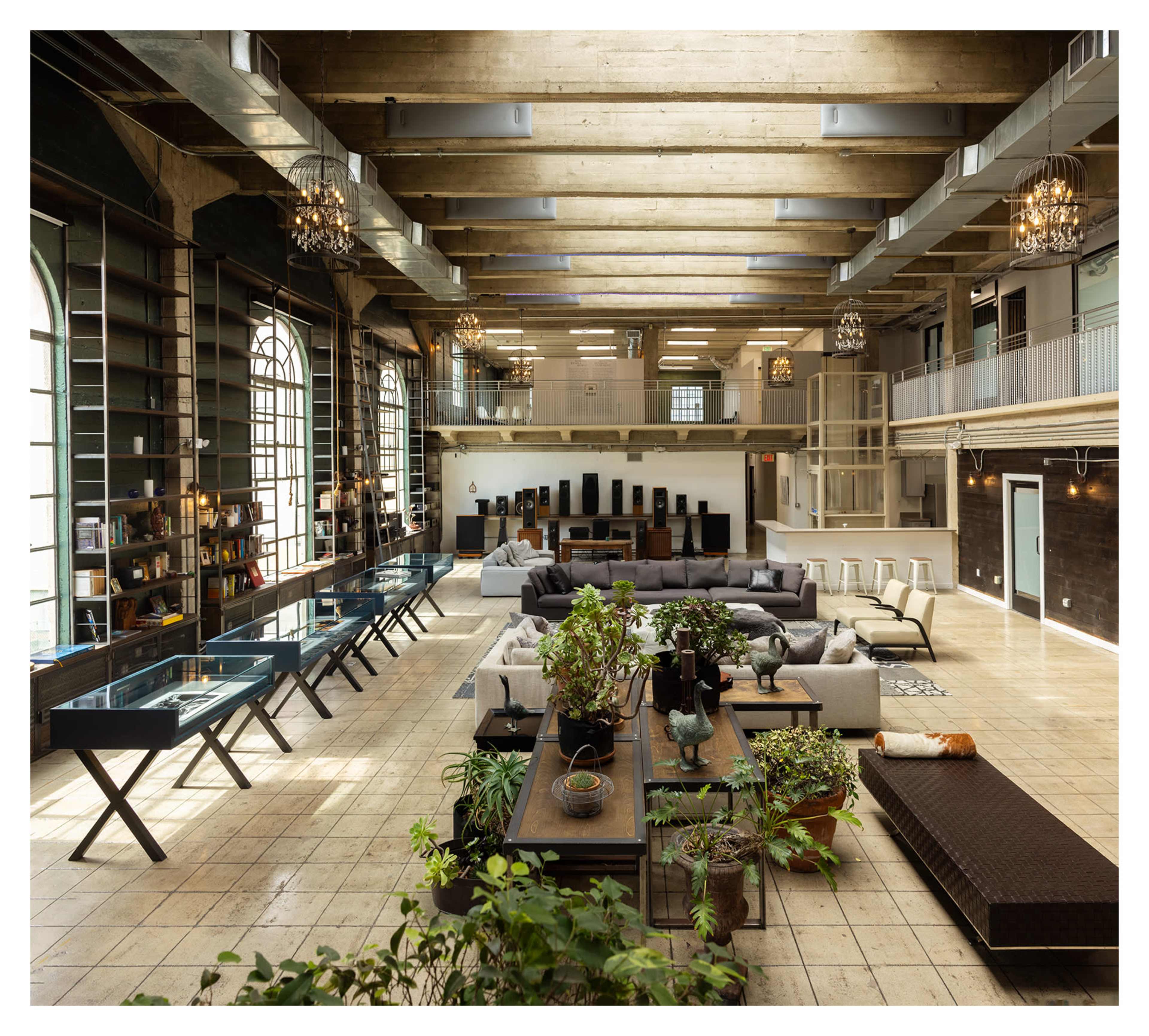 The image shows a spacious, industrial-style interior filled with modern furniture, large windows, and various plants arranged on tables.