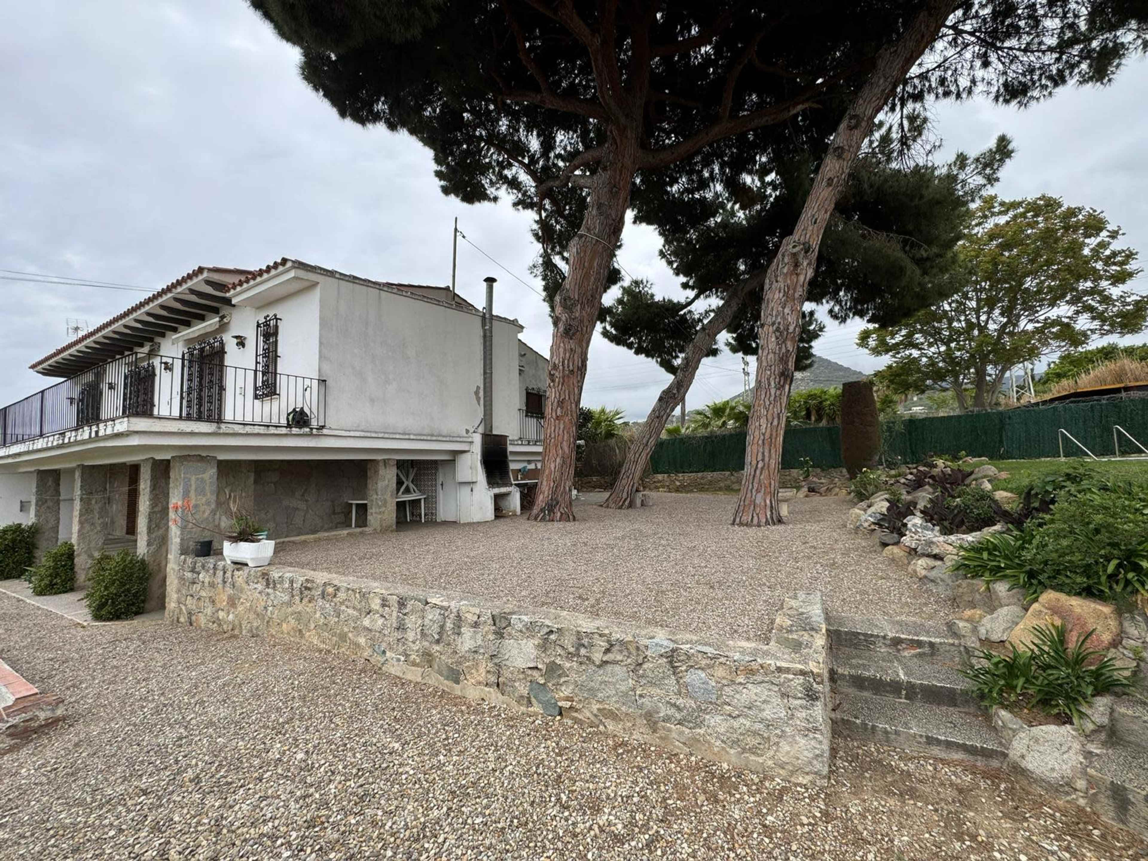The image shows a spacious outdoor area with a stone pathway, two large trees, and a white building in the background.