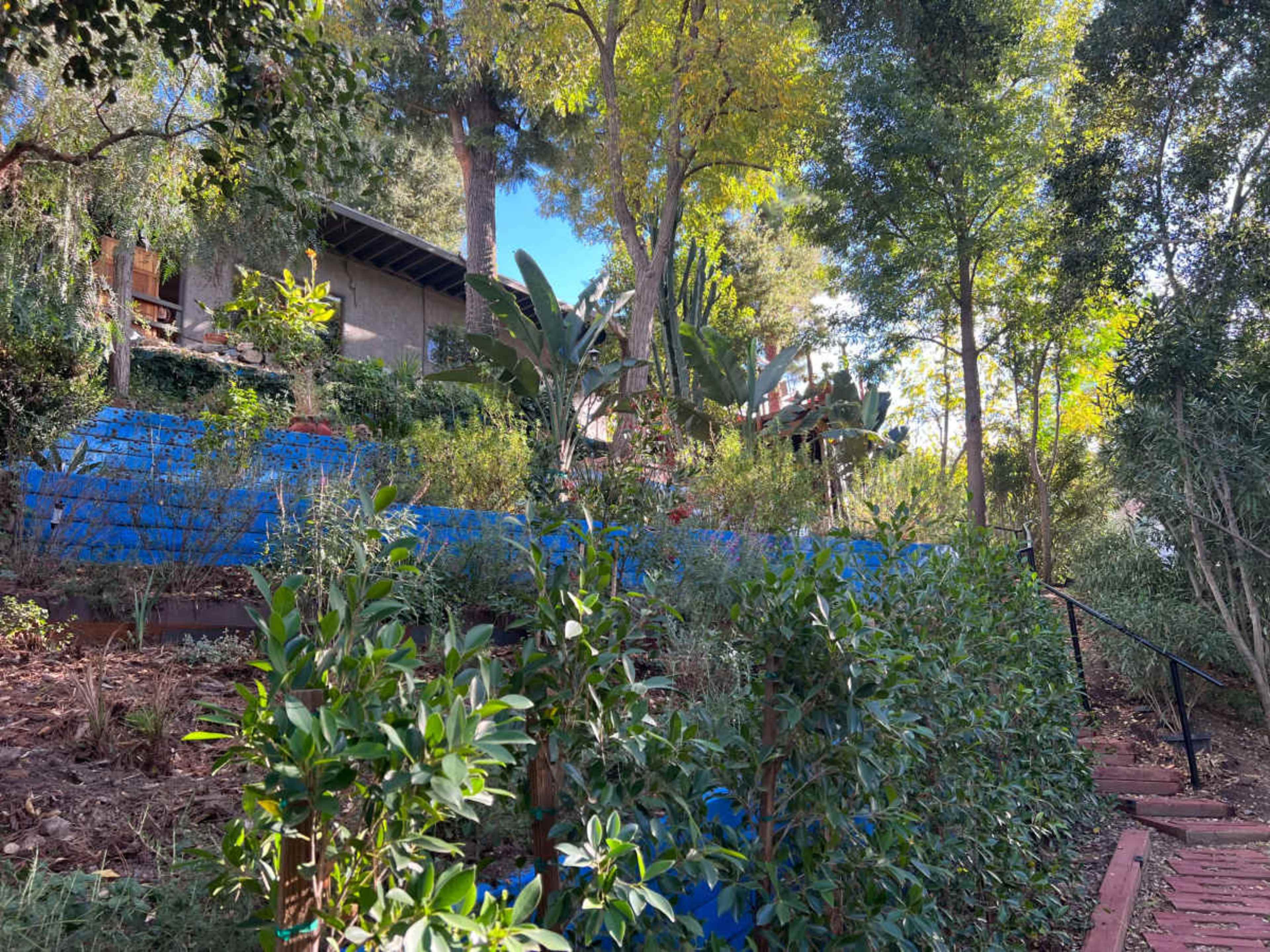 A landscaped hillside features a variety of plants and trees, with a house partially visible among the greenery.