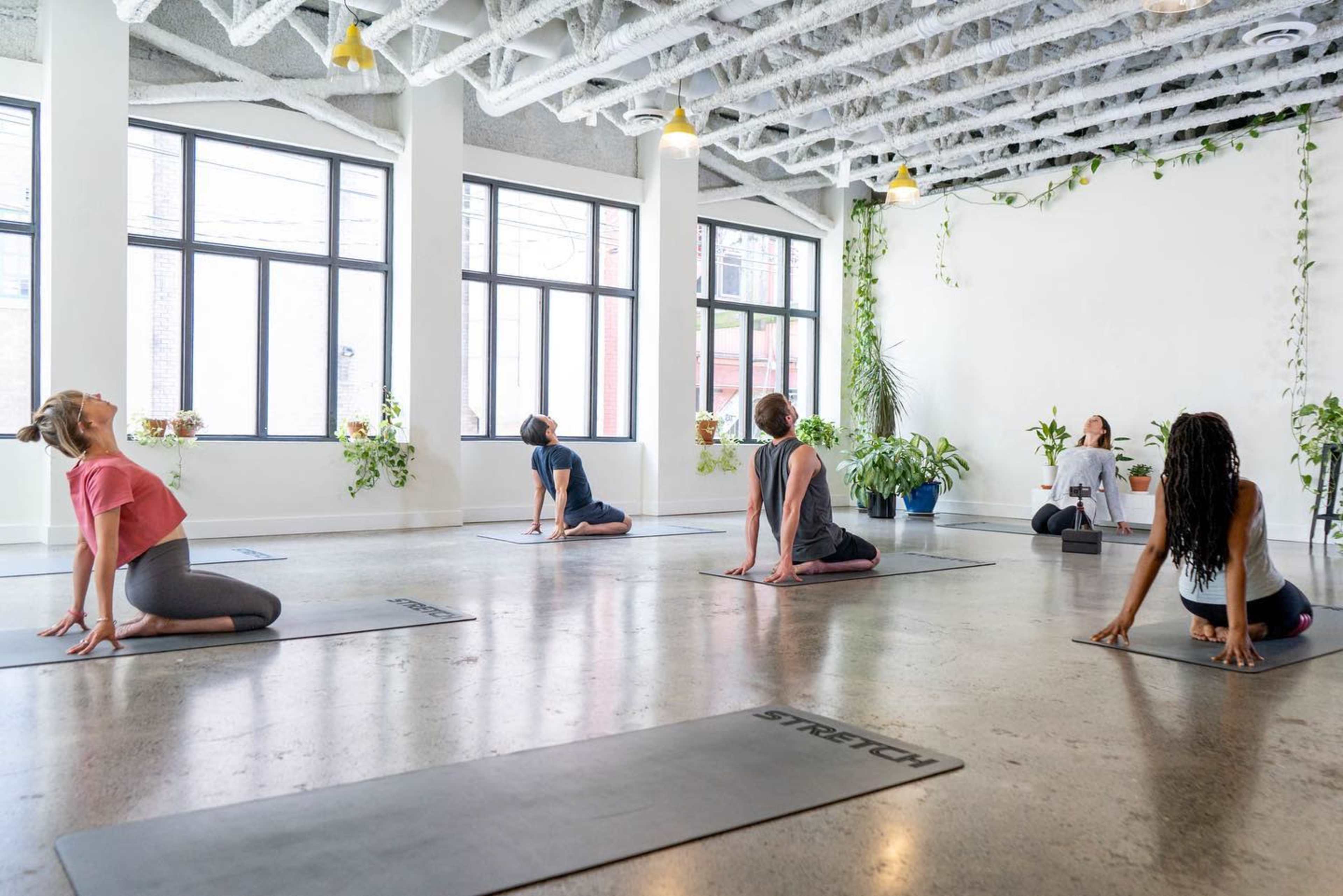 Five people are practicing yoga on mats in a well-lit studio with large windows and plants.