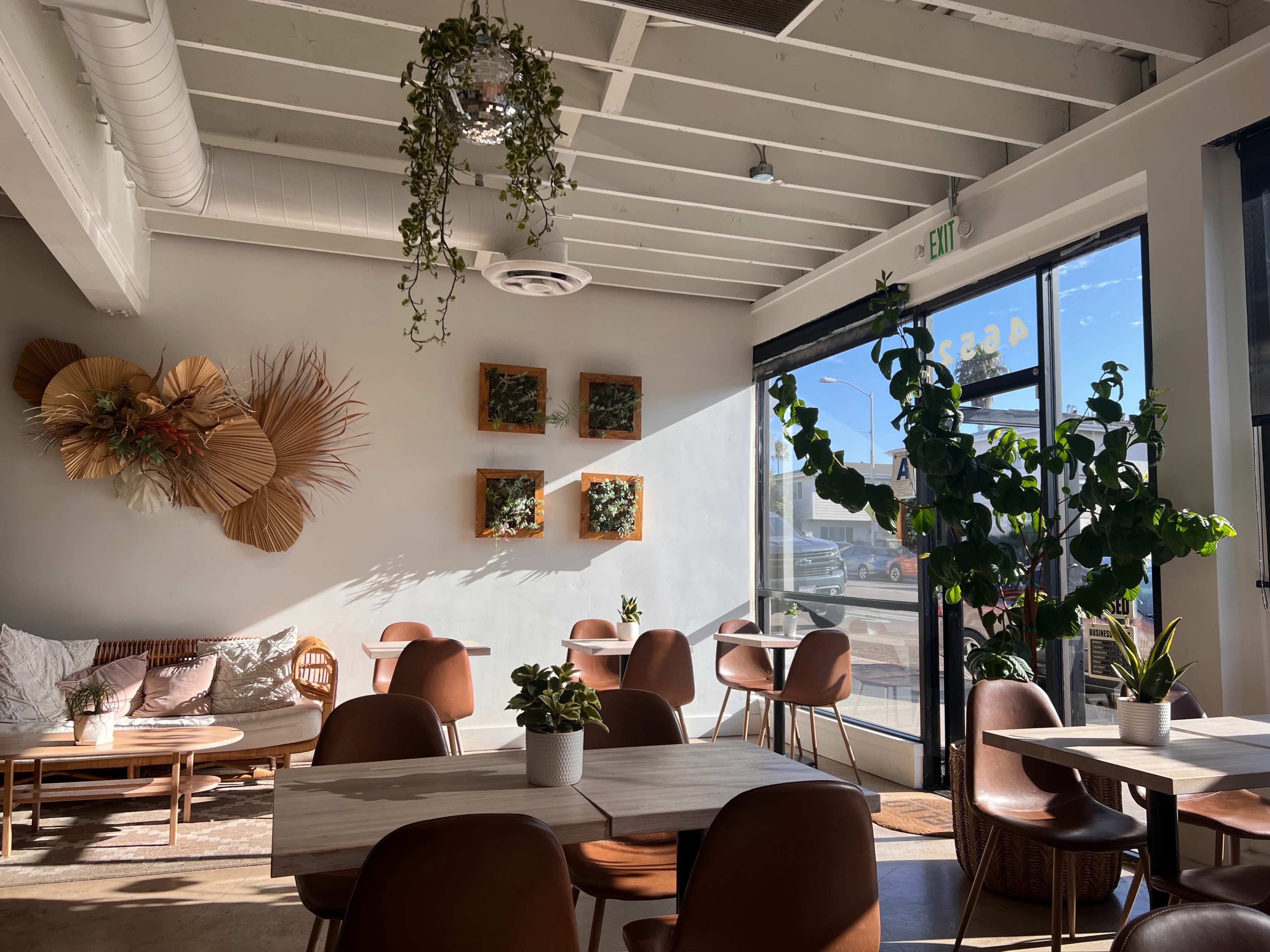 A modern café interior with wooden furniture, potted plants, and decorative wall art featuring natural materials.