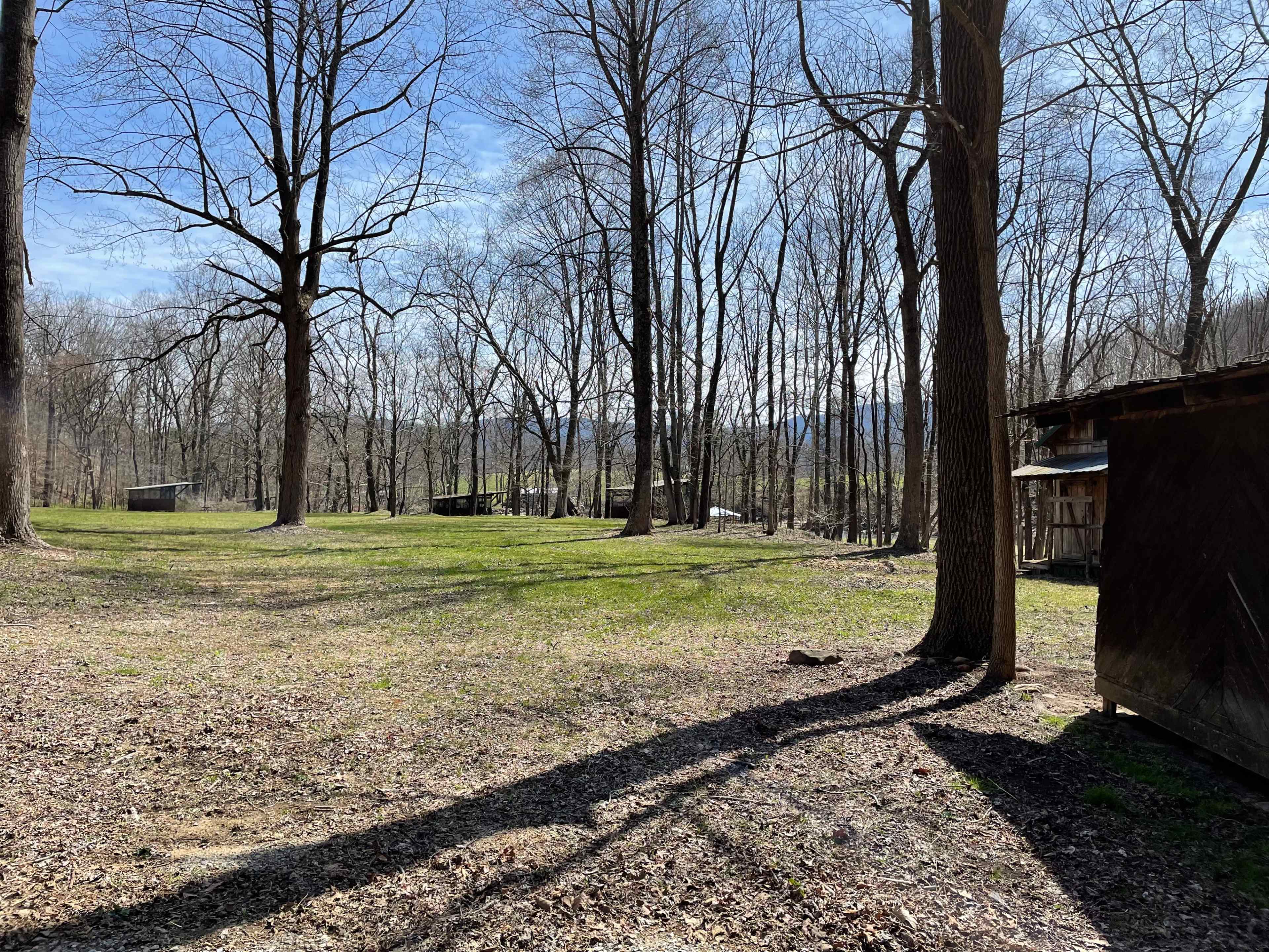 A grassy area surrounded by bare trees on a sunny day, with a wooden structure visible in the background.
