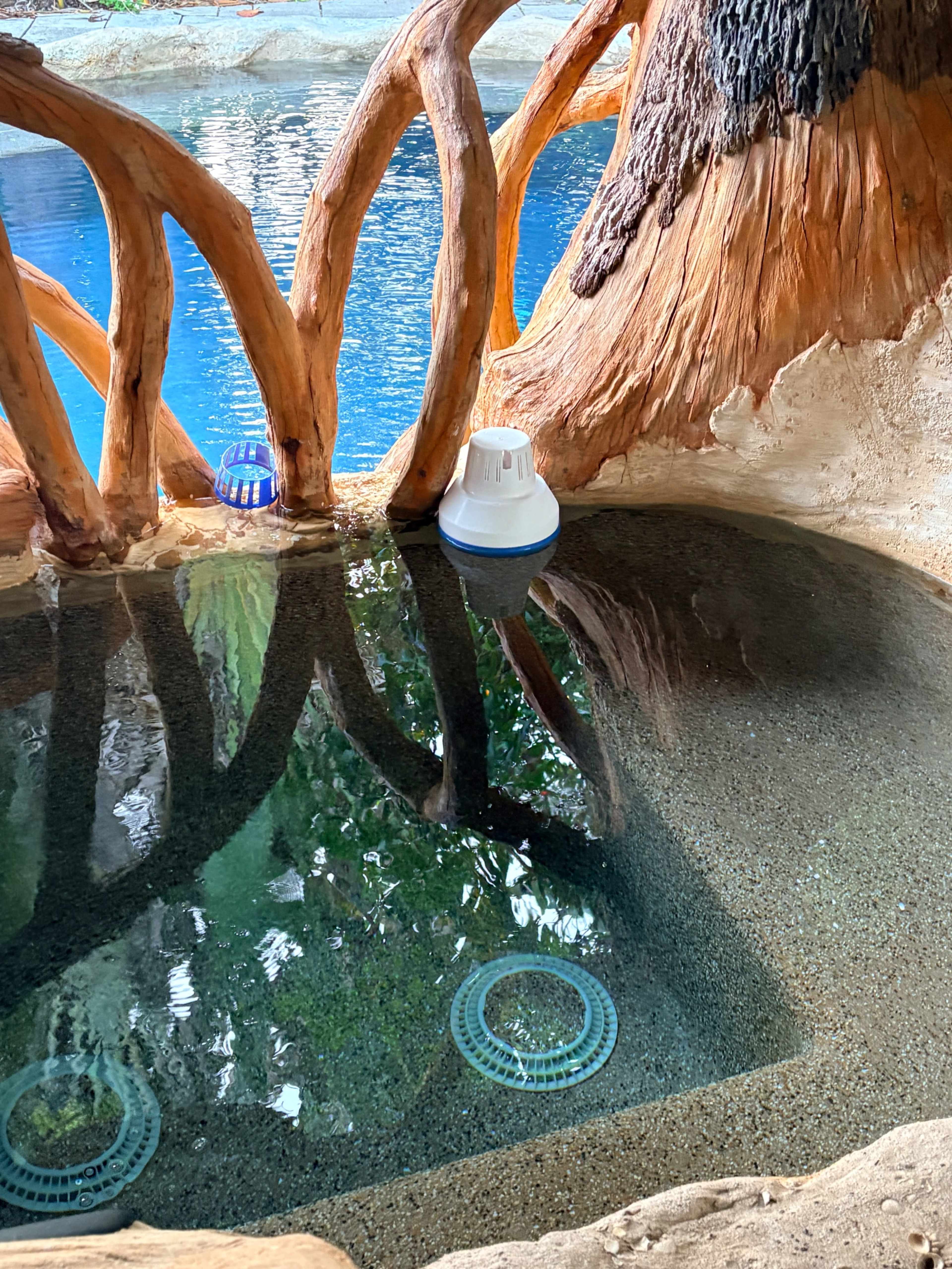 The image shows a shallow pool surrounded by textured rock formations and wooden structures, with a blue body of water visible in the background.