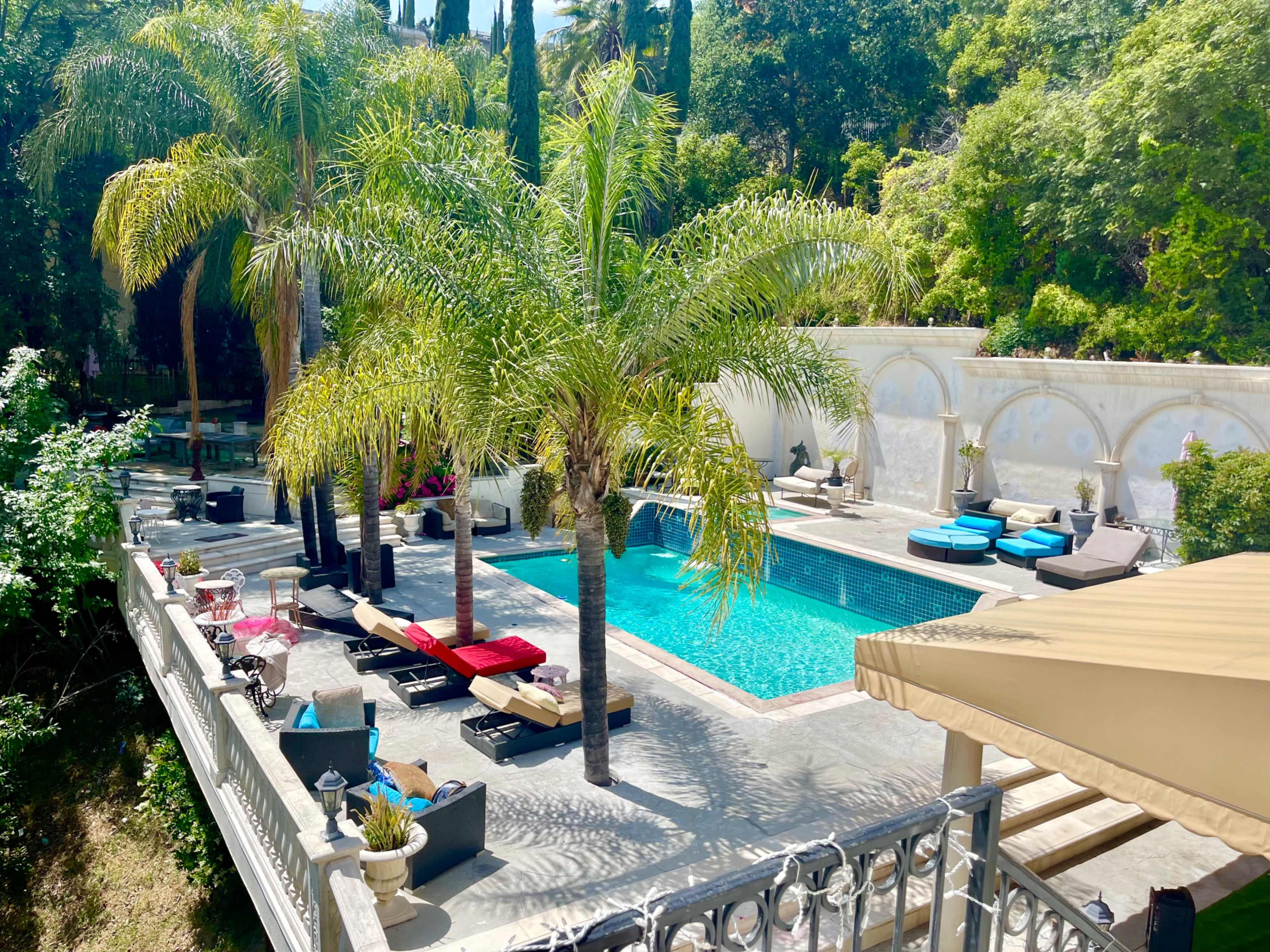 A landscaped pool area surrounded by palm trees, featuring loungers in various colors beside the water.