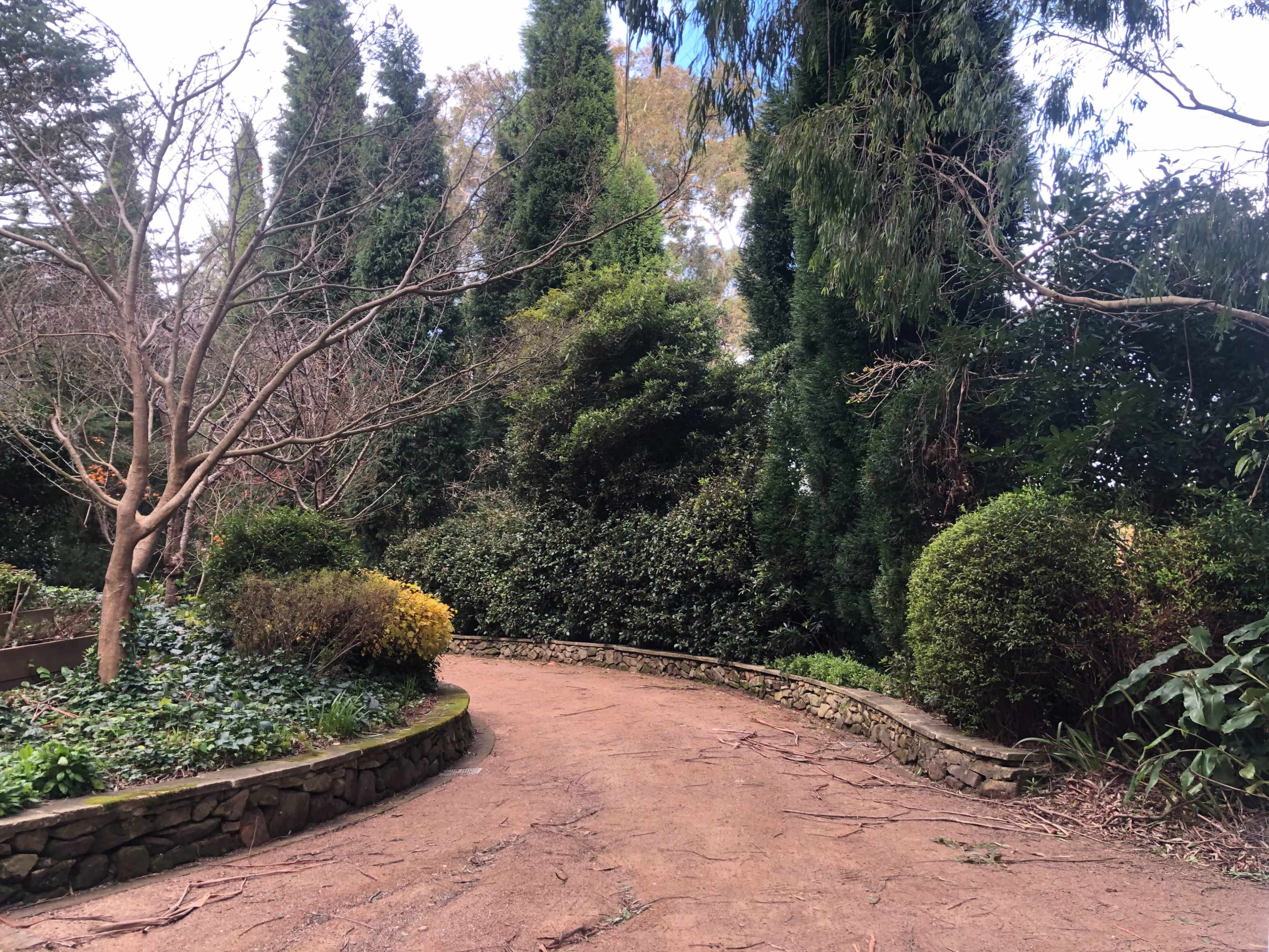 A winding dirt path curves through a garden surrounded by various trees and shrubs.