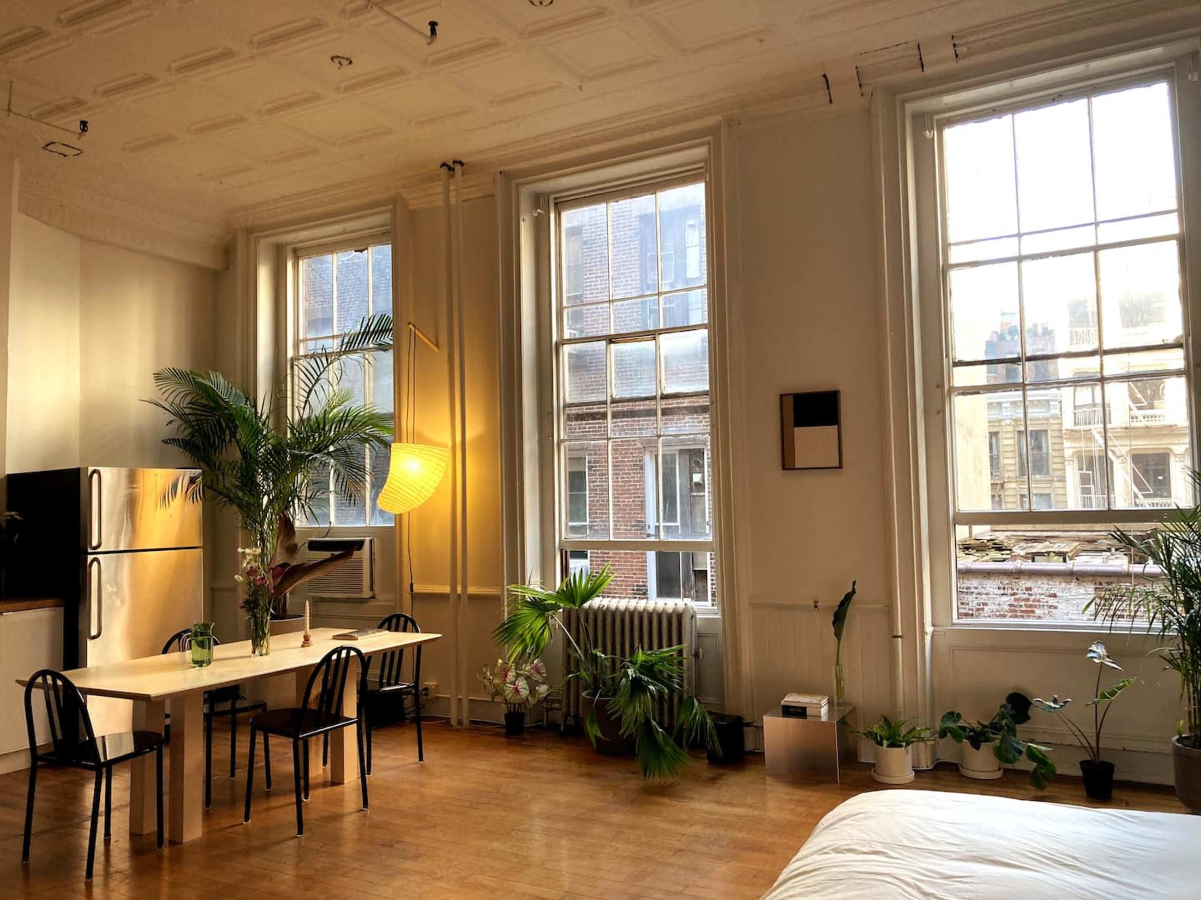 A spacious room features large windows, a dining table with black chairs, a kitchen area, and several indoor plants.