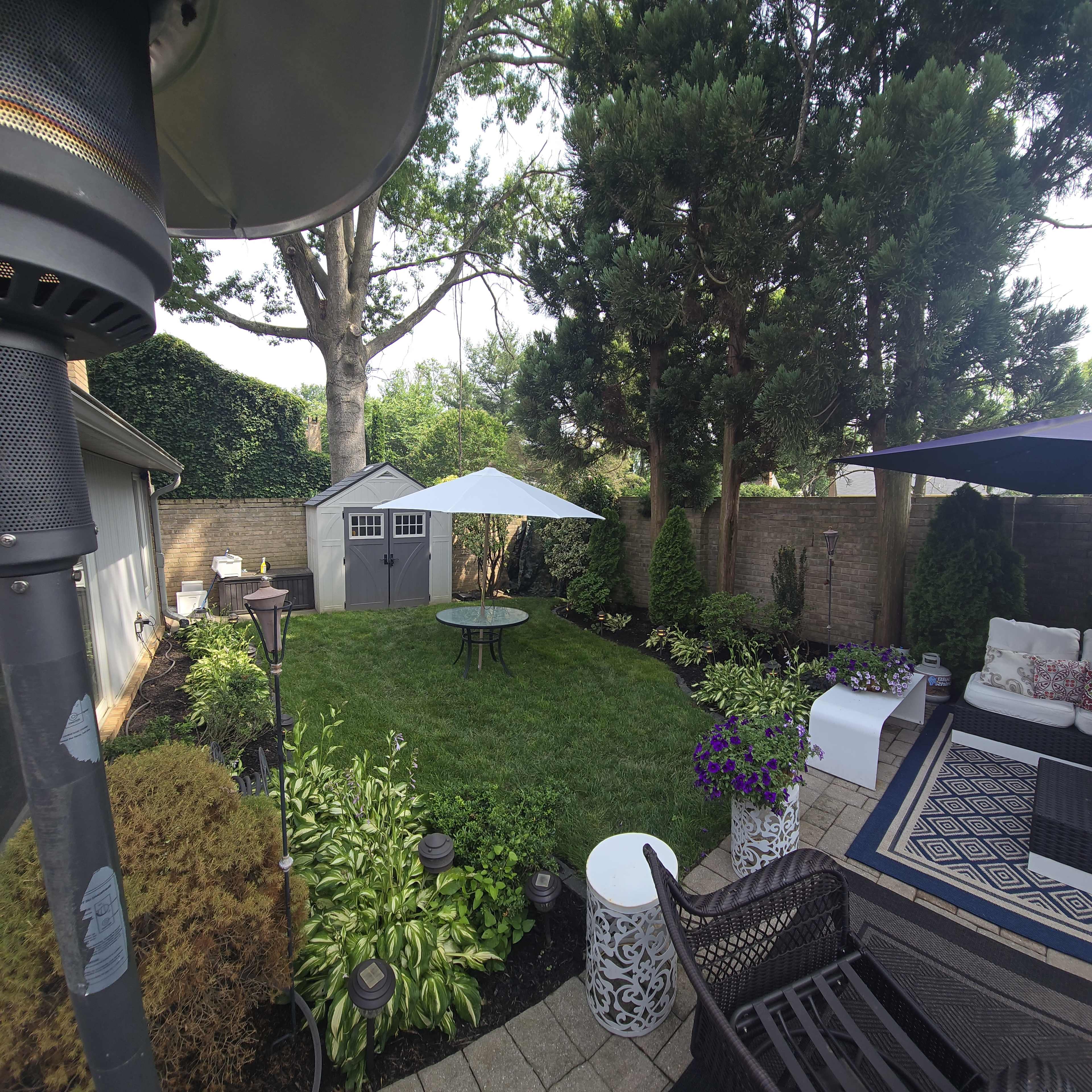 The image shows a landscaped backyard with green grass, a gray shed, round table, patio furniture, and strategically placed plants.