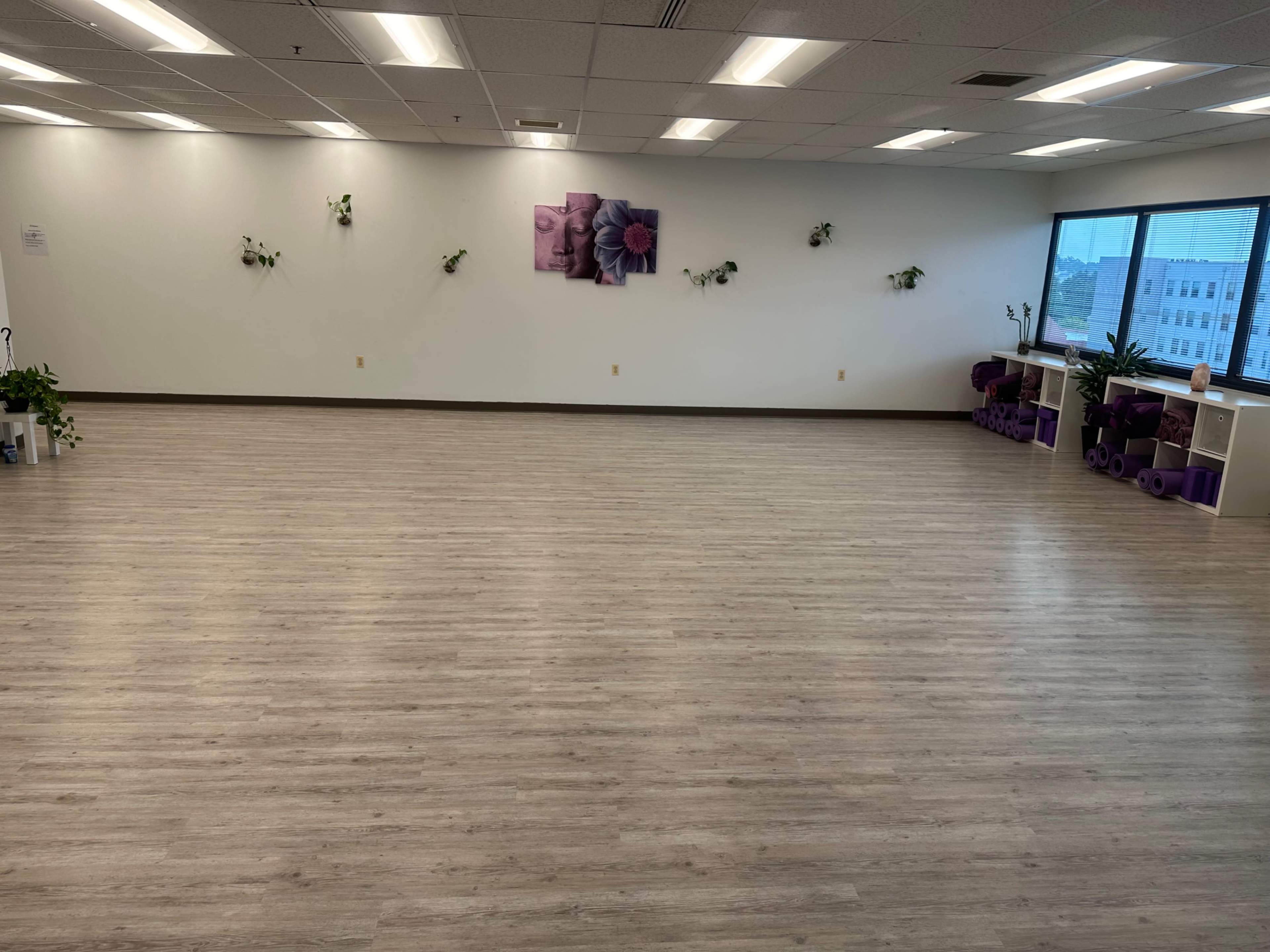 A spacious, empty room with light wooden flooring, decorated with plants on the walls and yoga props neatly arranged in the corner.