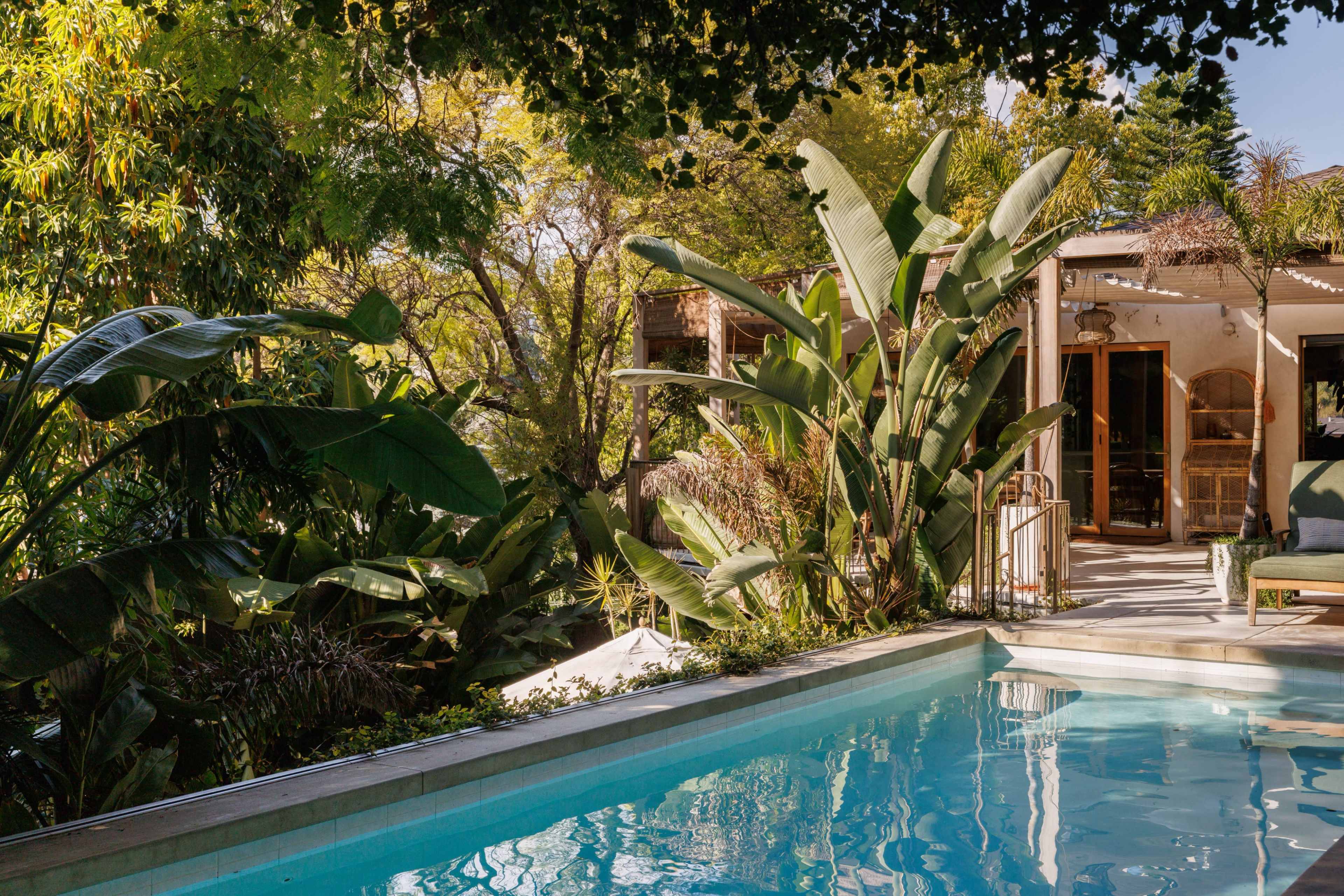 A clear swimming pool is bordered by tropical plants next to a house with large glass doors.