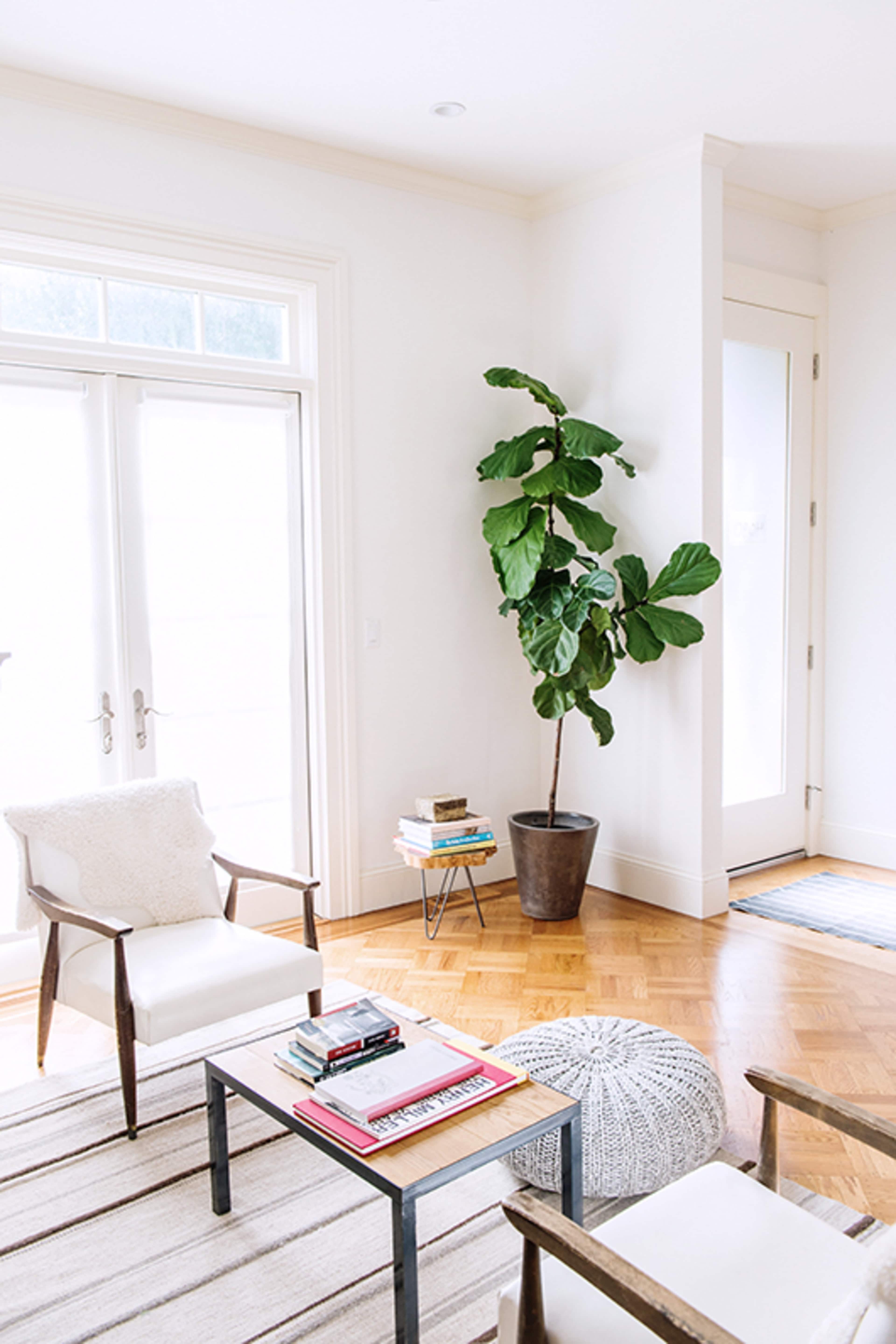 A bright living room featuring two white chairs, a small table with stacked books, a round pouf, and a large potted plant near a set of double doors.