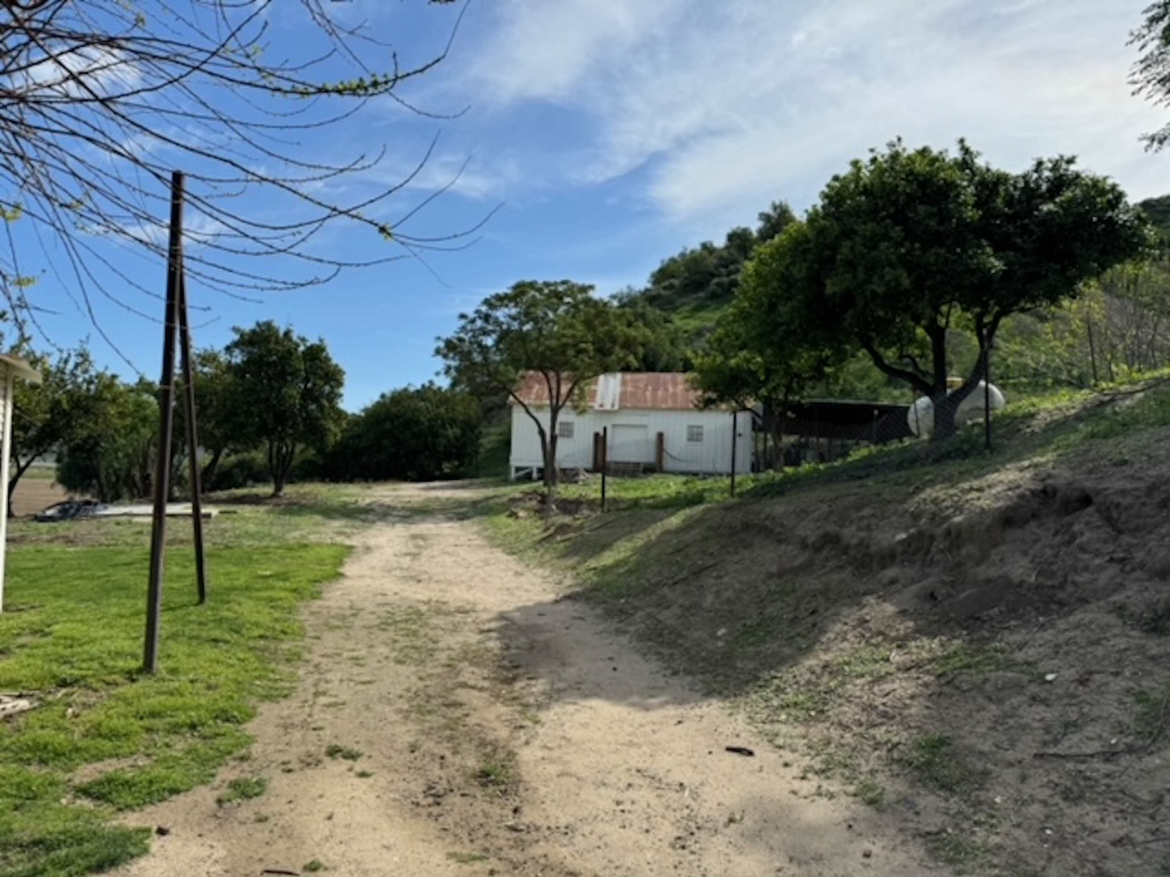 A dirt path leads through a grassy area, lined with trees, to a white building with a red roof in the background.