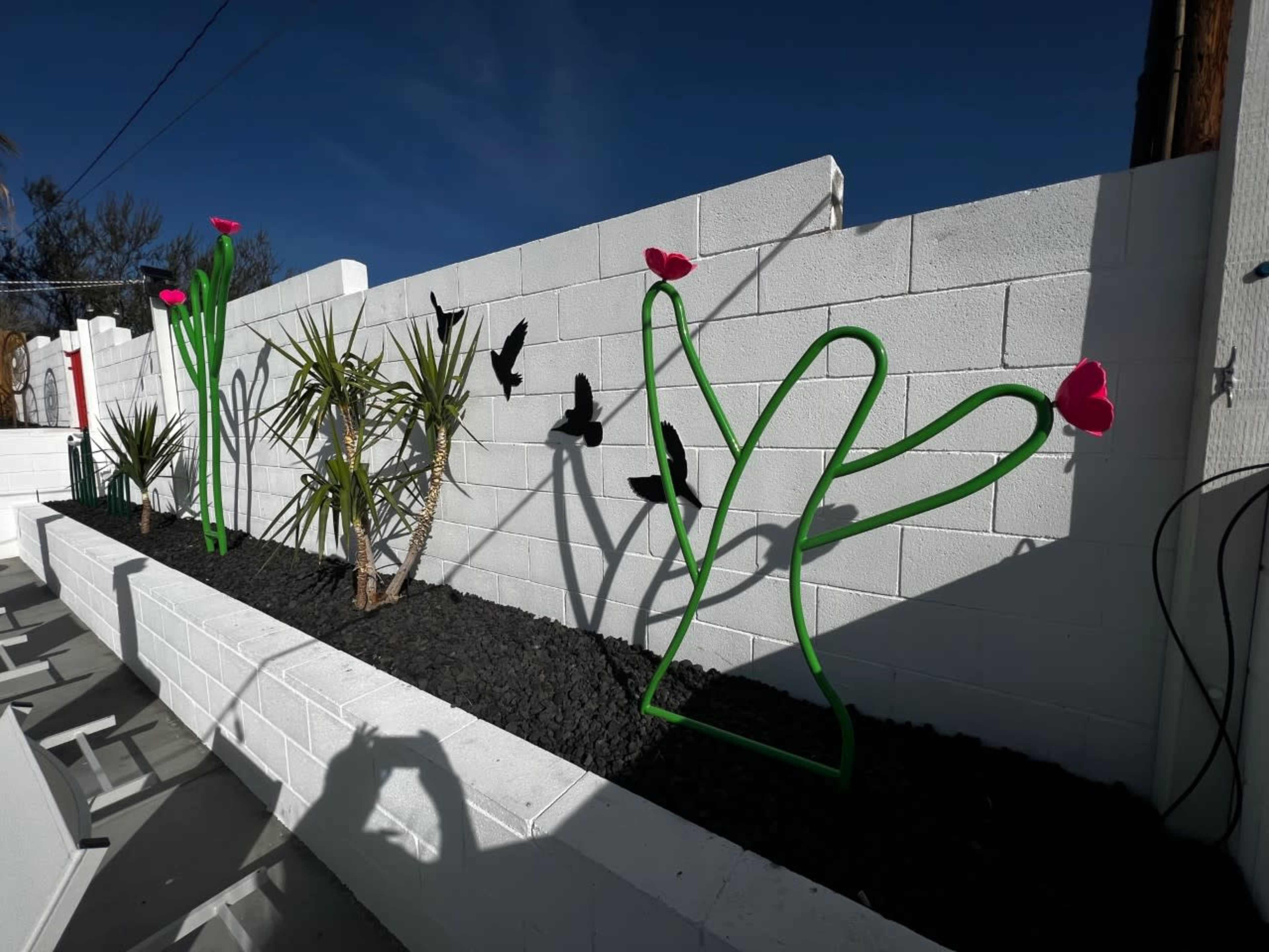 The image shows a white wall with colorful, oversized flower sculptures and shadows of butterflies cast on the surface beside a landscaped area with plants and black mulch.