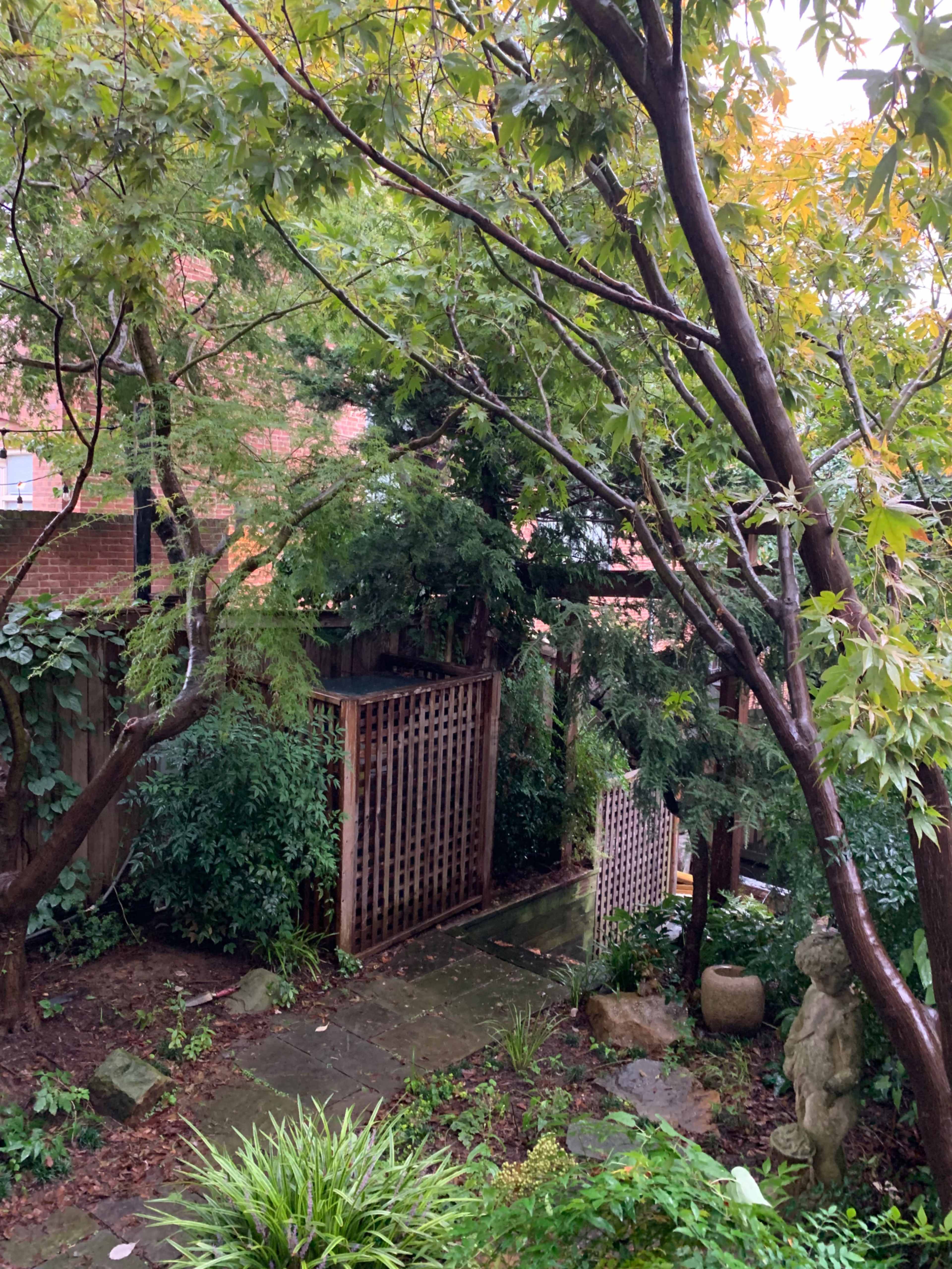 A stone path leads through a lush garden bordered by trees and a wooden trellis.