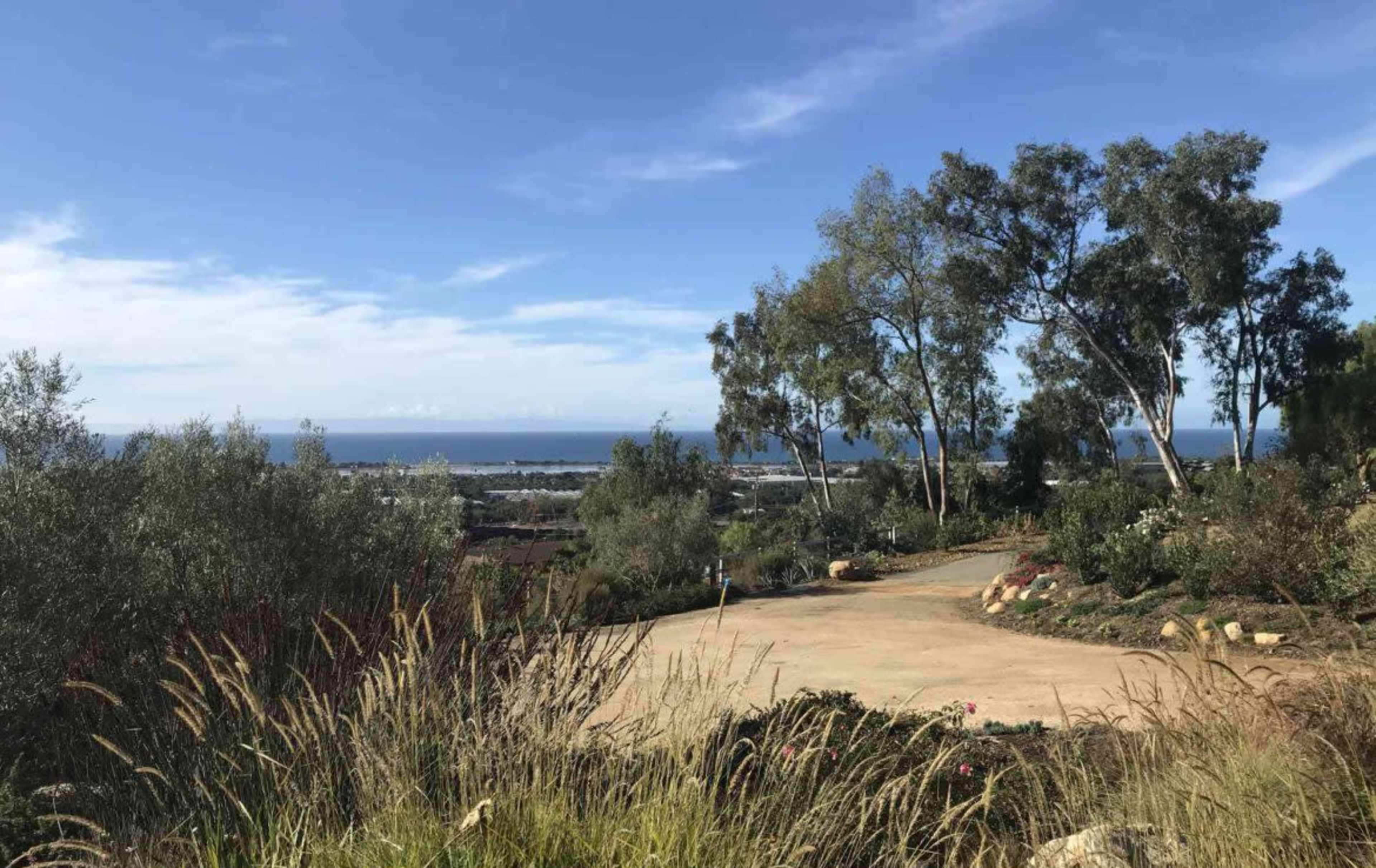 The image shows a landscape view featuring a dirt path leading towards the ocean, framed by trees and shrubs under a clear blue sky.