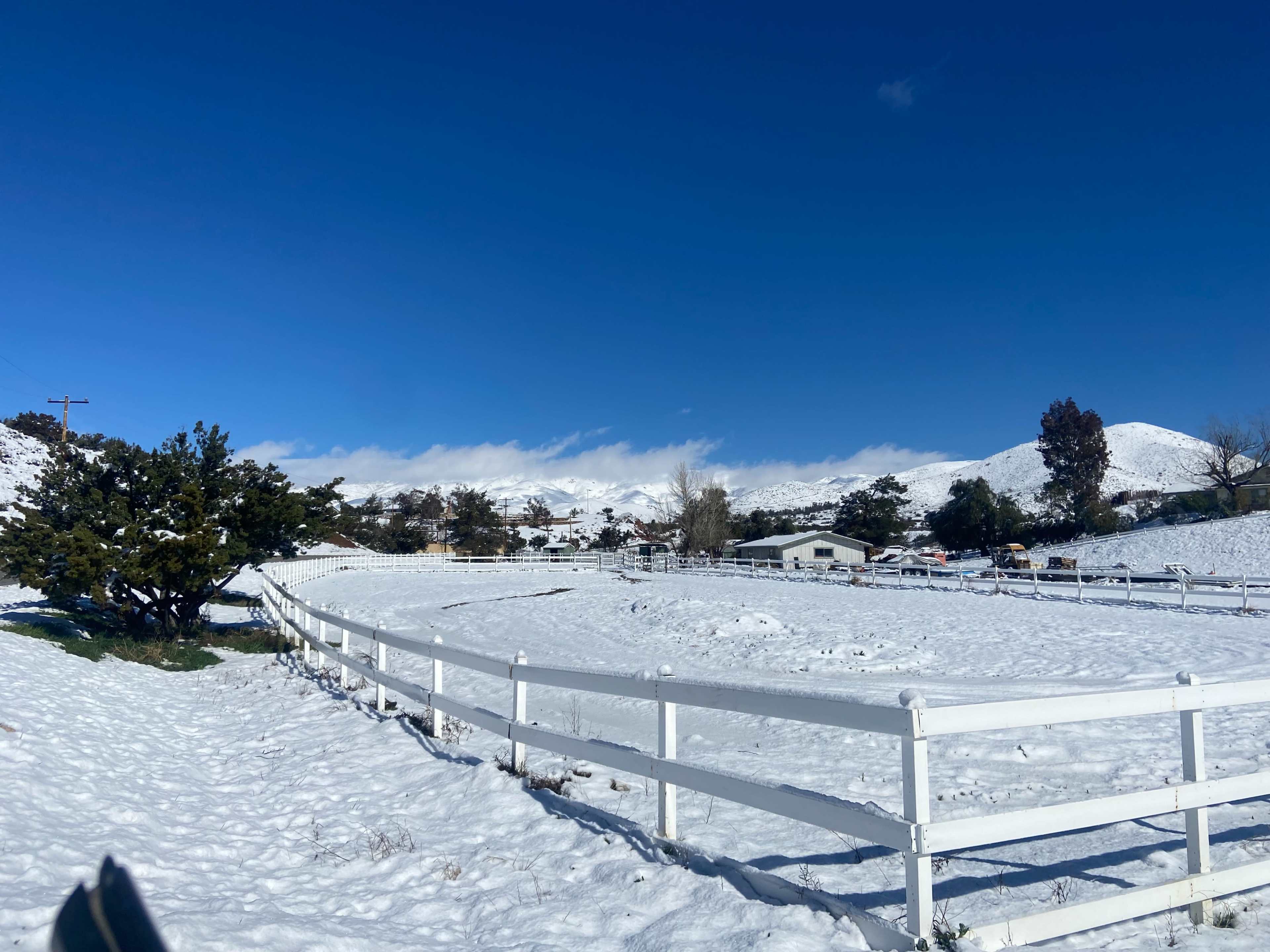 High Desert Arabians Image in Acton, Acton, CA