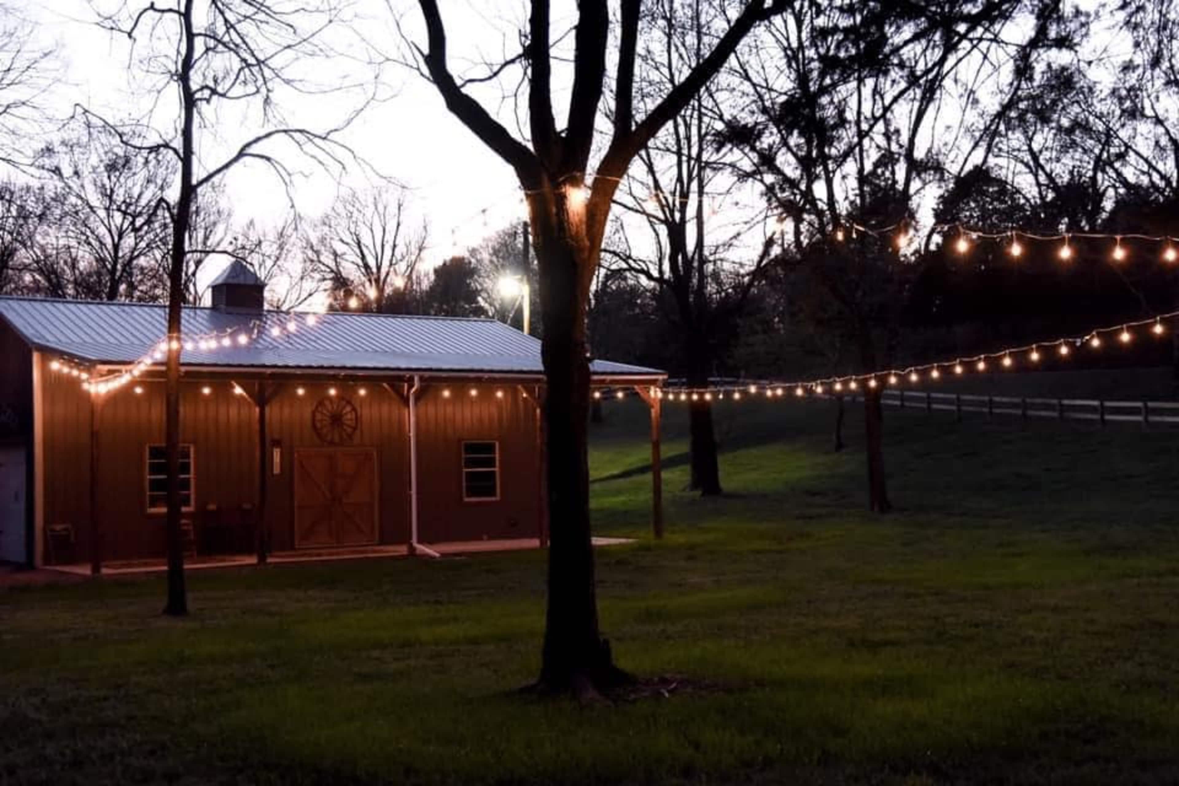 A barn is illuminated by string lights, set in a grassy area near trees as dusk approaches.
