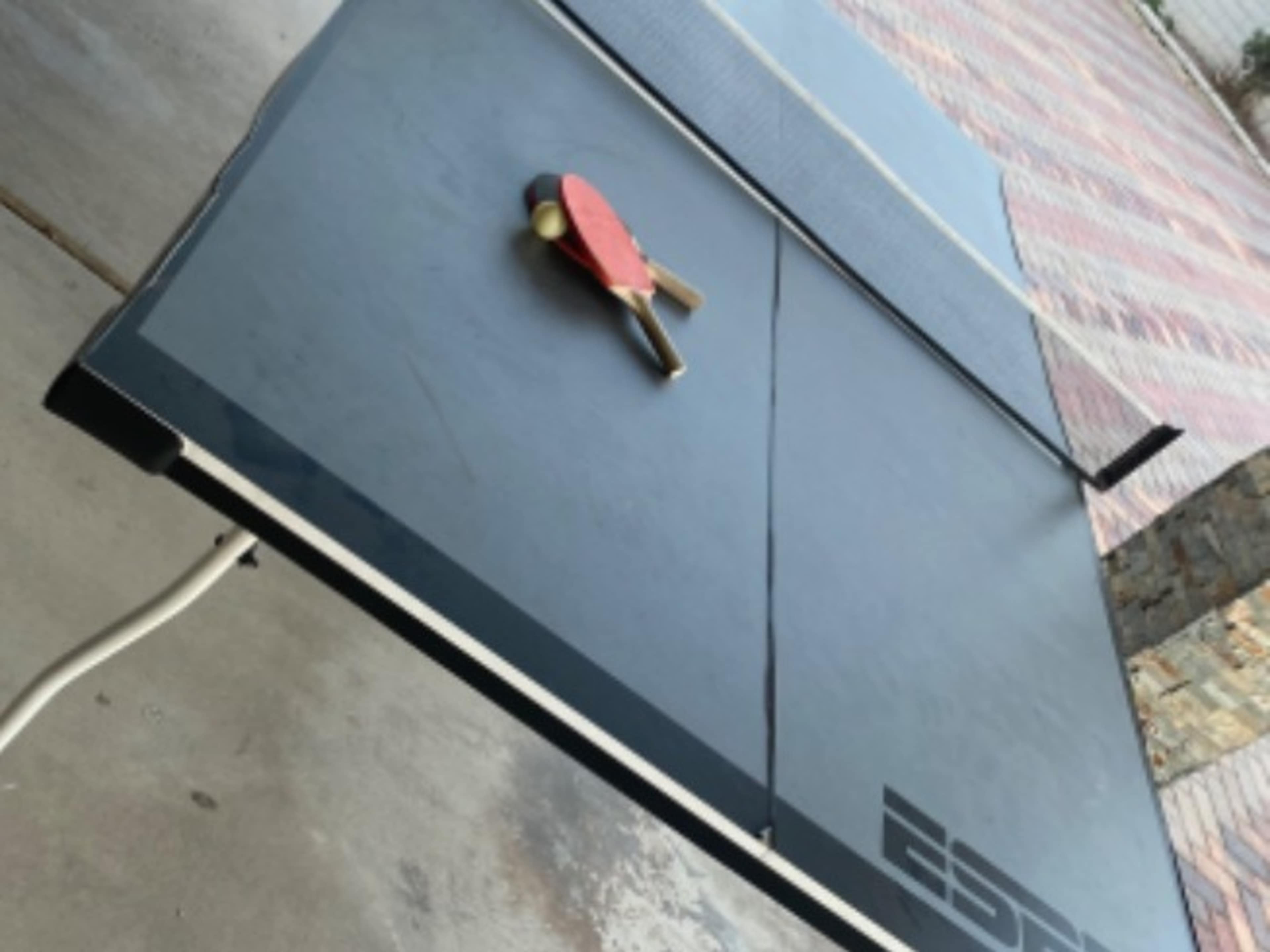 Ping pong table 