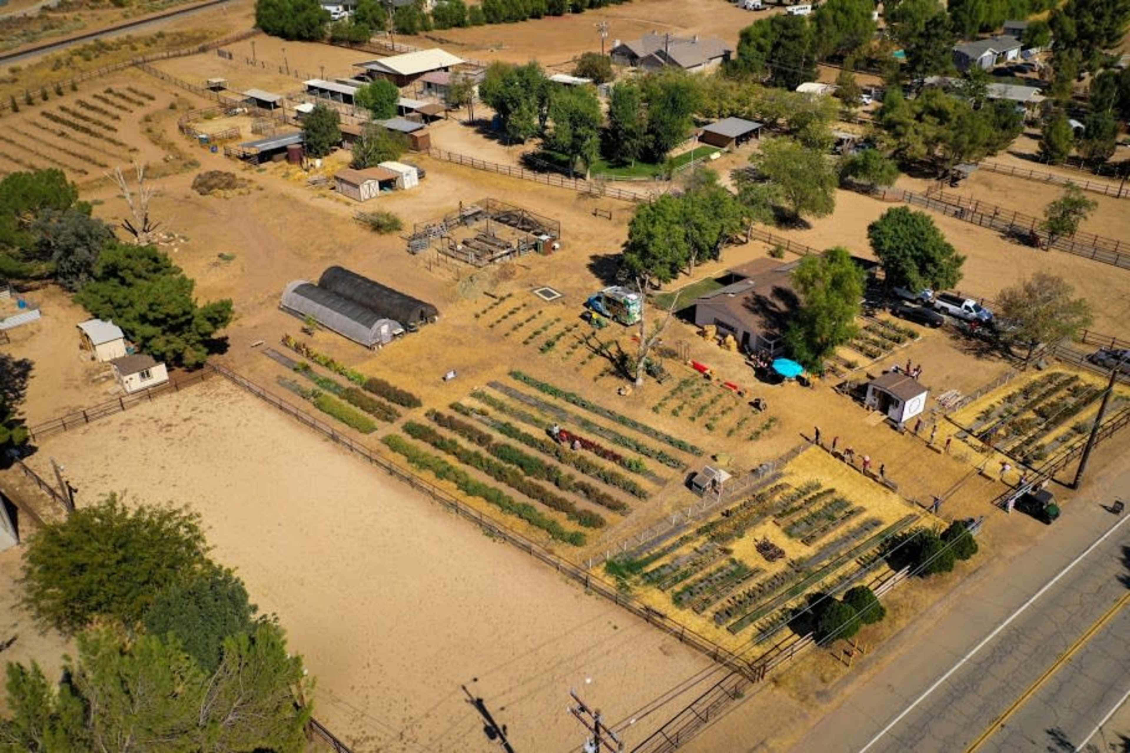 An aerial view of a farm showing rows of crops, a residential building, and various outbuildings surrounded by dry land and a road.
