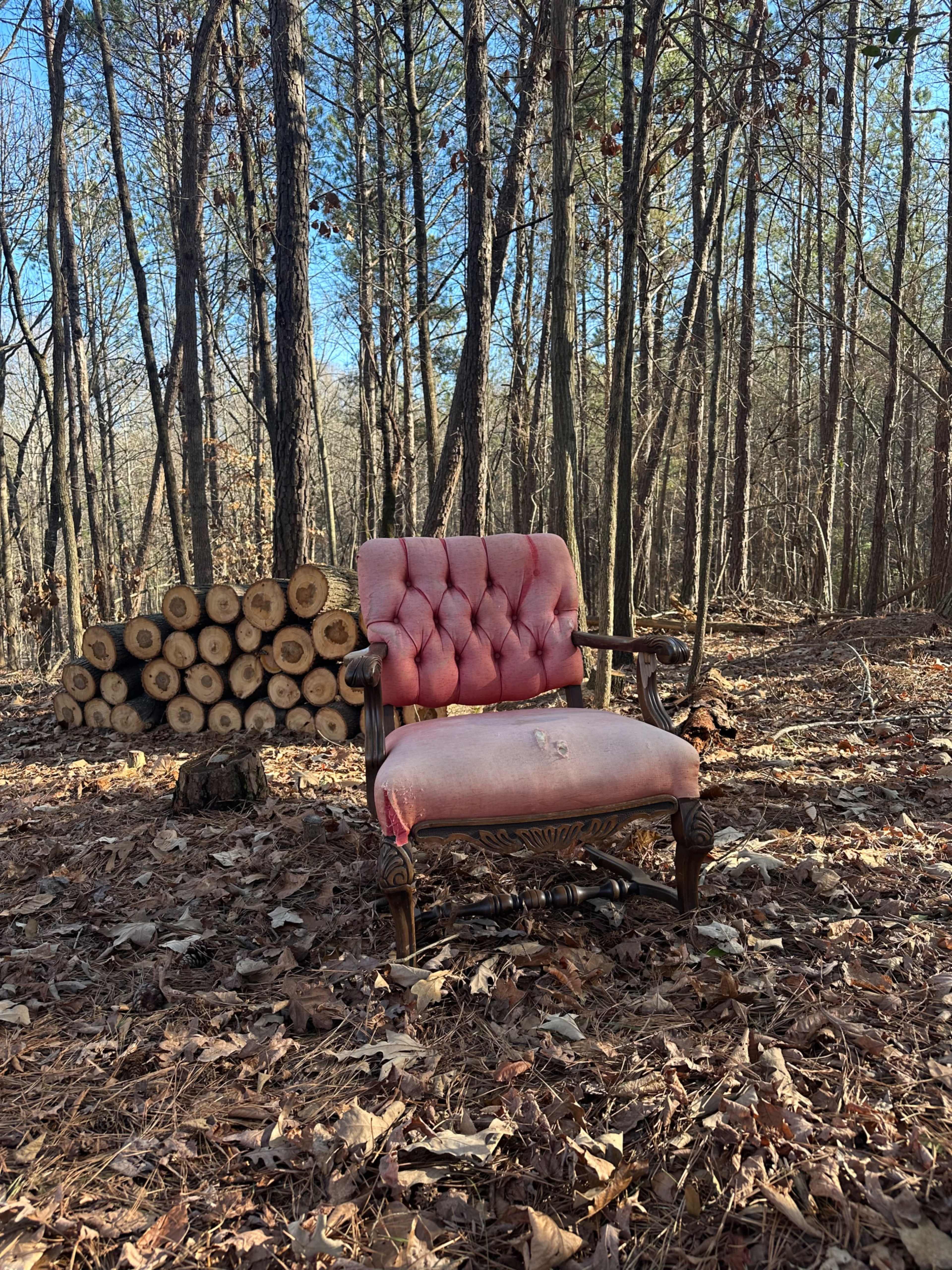 Woodland photo shoot location Image in , Buford, GA