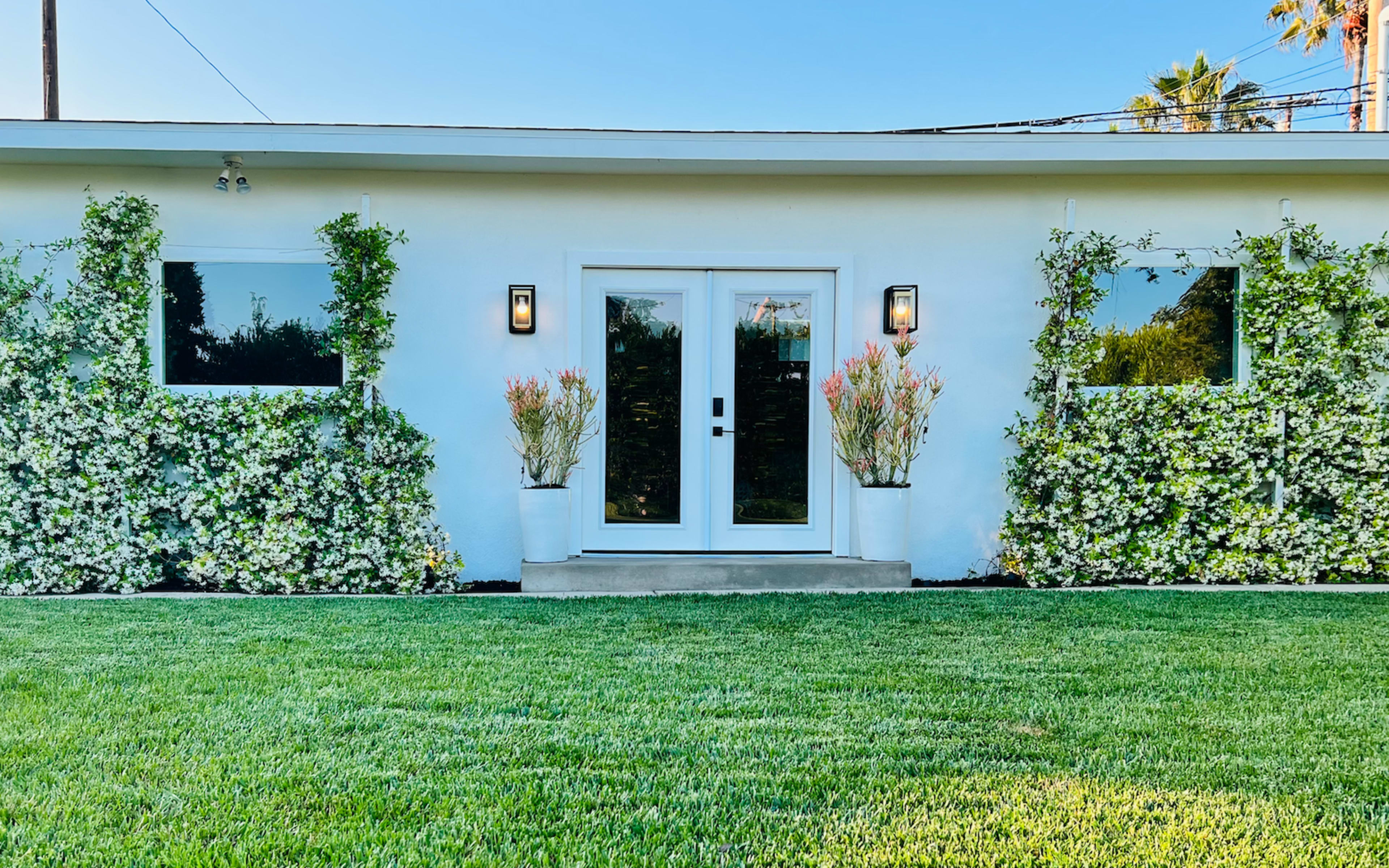 A modern white house with two large windows and a double door entrance, flanked by planters filled with greenery and flowers on both sides.