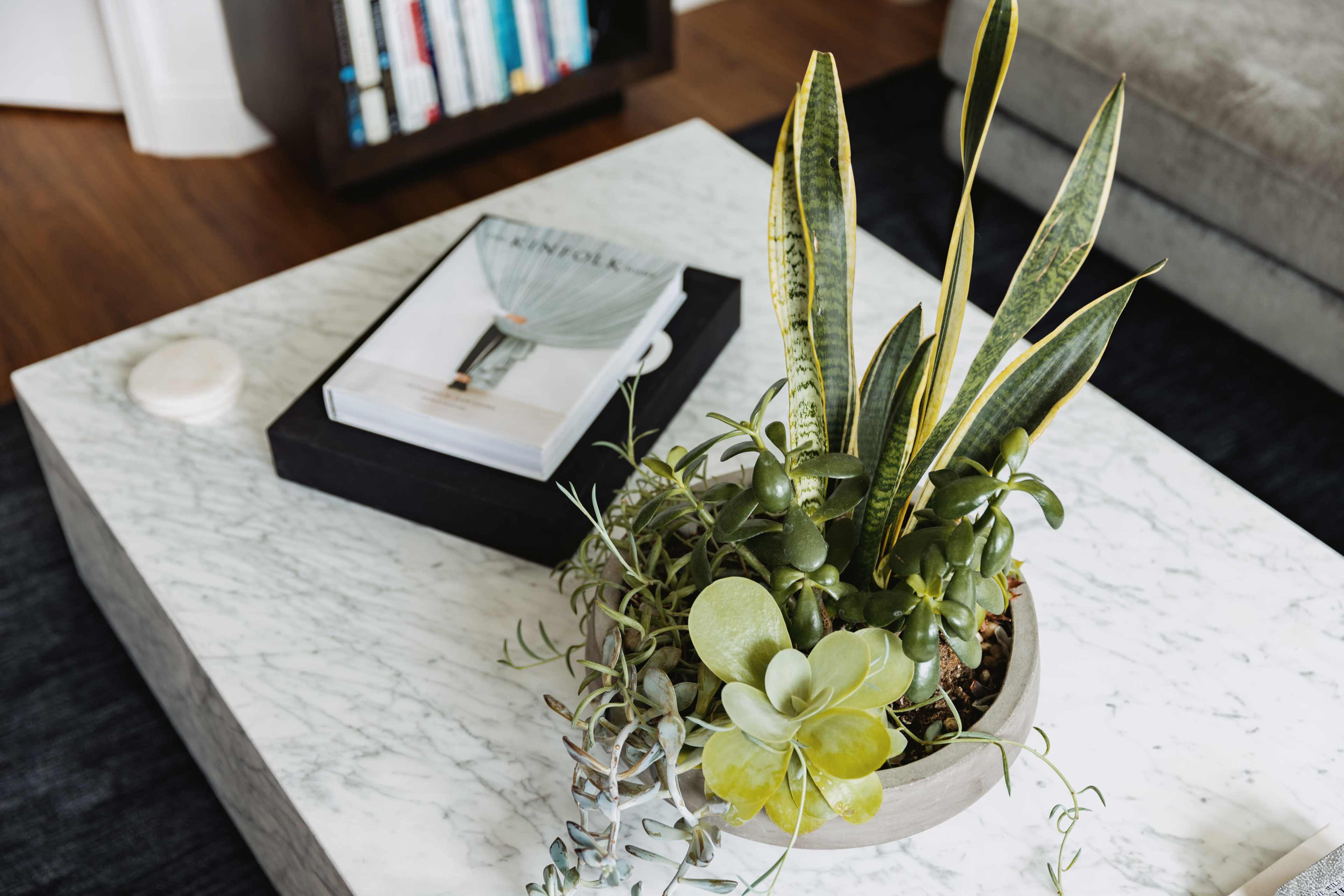 A marble coffee table features a potted plant arrangement alongside a magazine on a black tray.