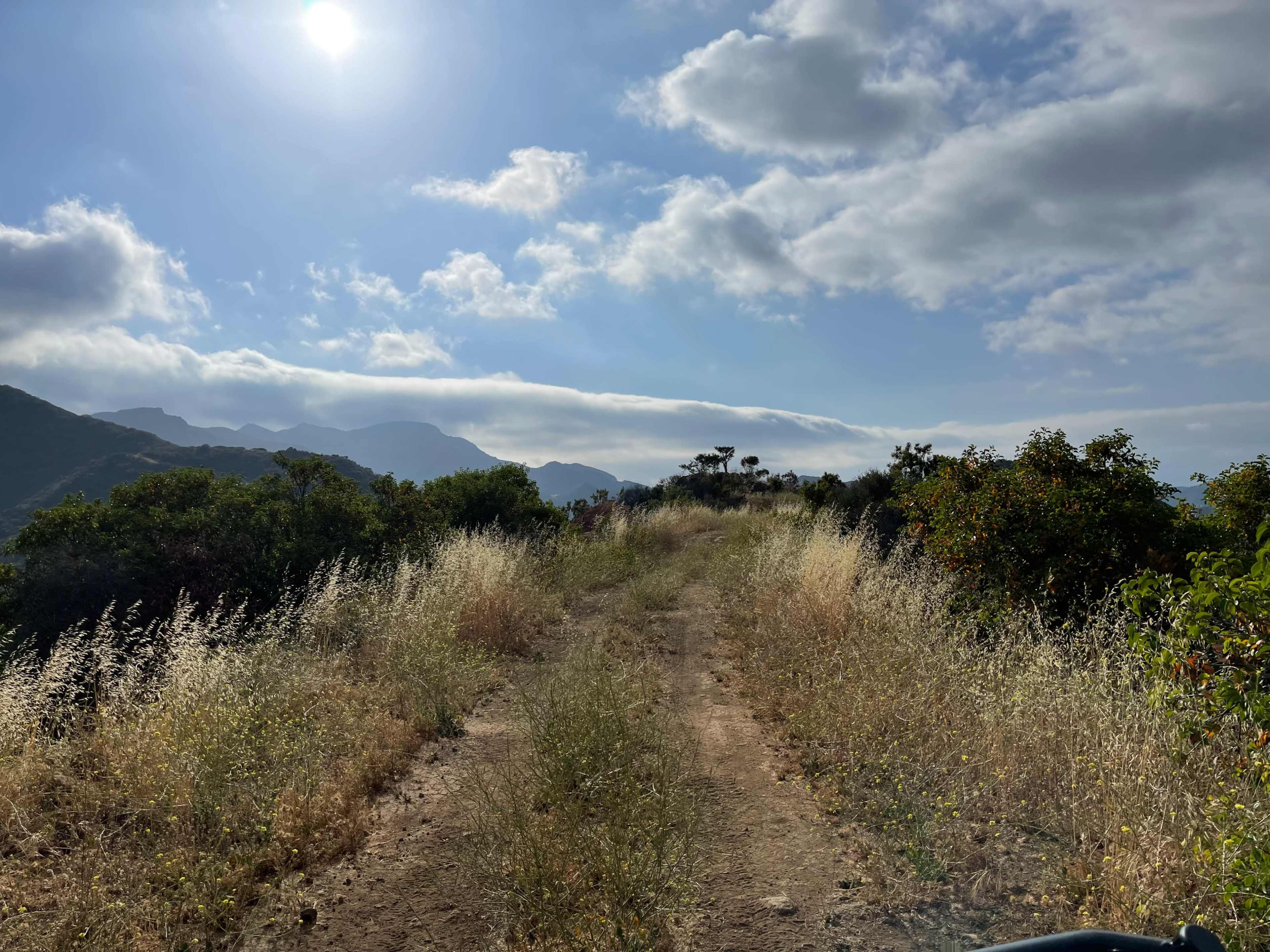 A dirt path surrounded by tall grasses and shrubs leads through a hilly landscape under a partly cloudy sky.