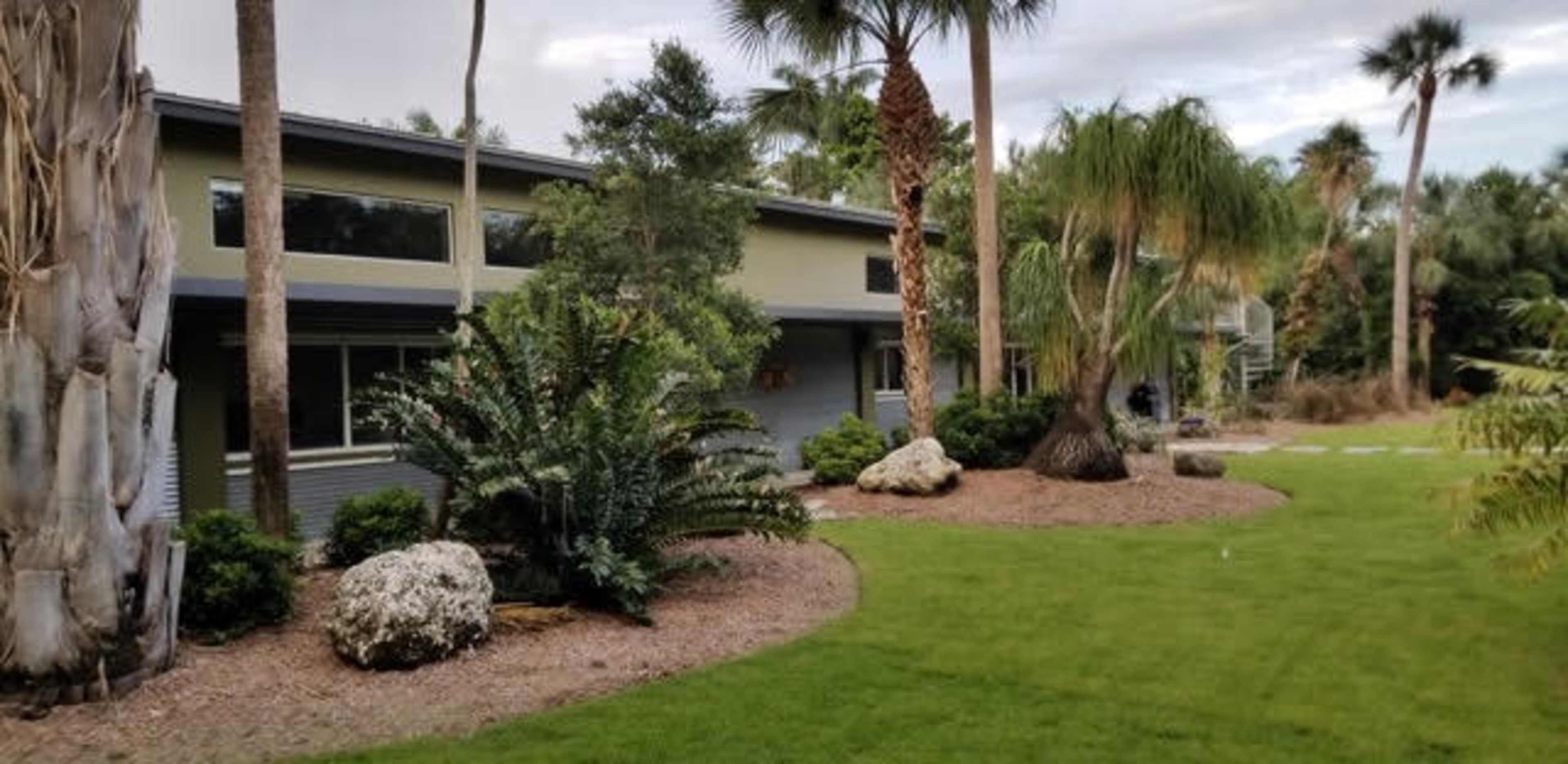 A landscaped area with several palm trees, shrubbery, and rocks beside a modern building.
