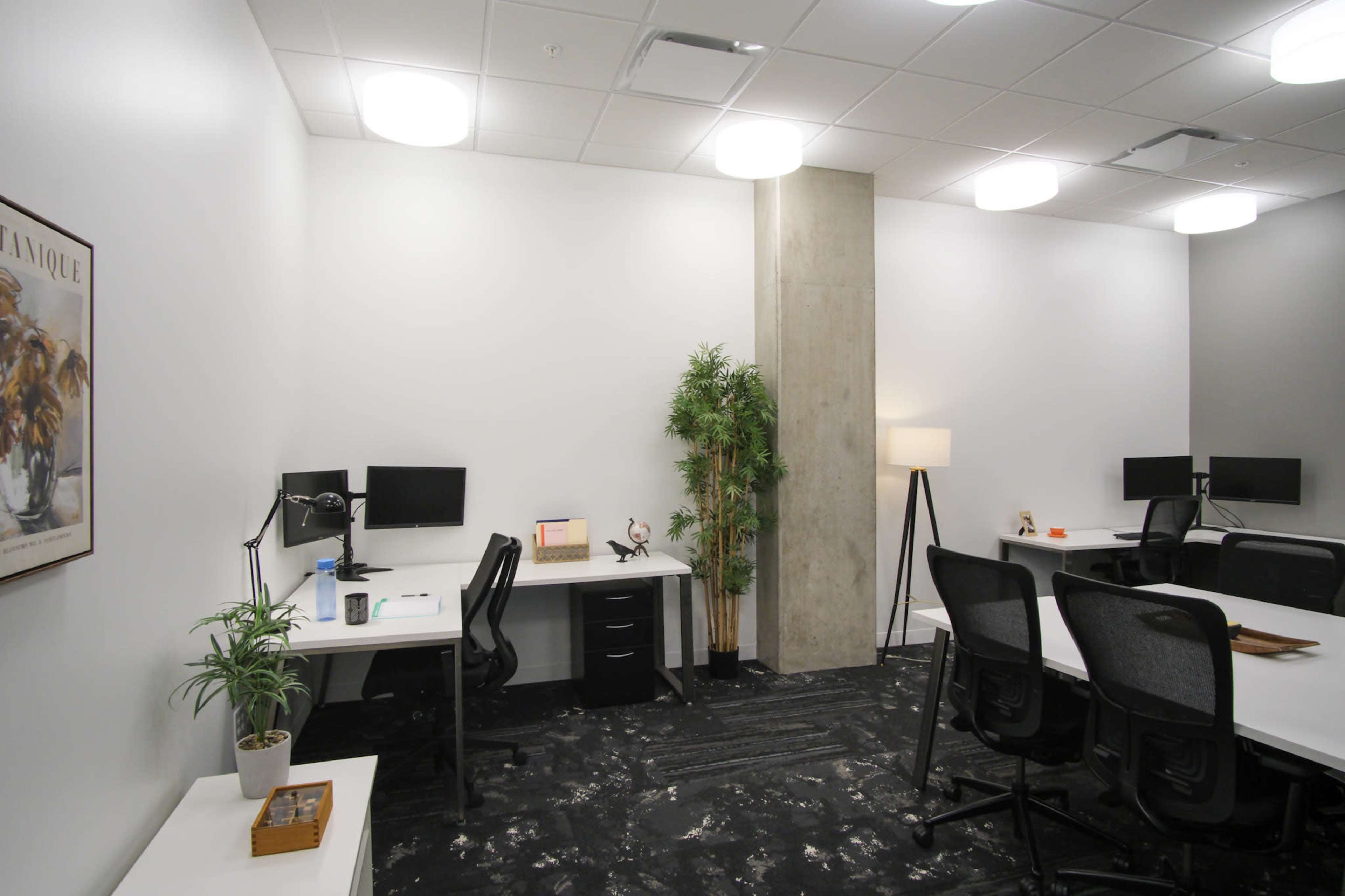 Spacious Team Day Office Image in Frisco, Frisco, TX