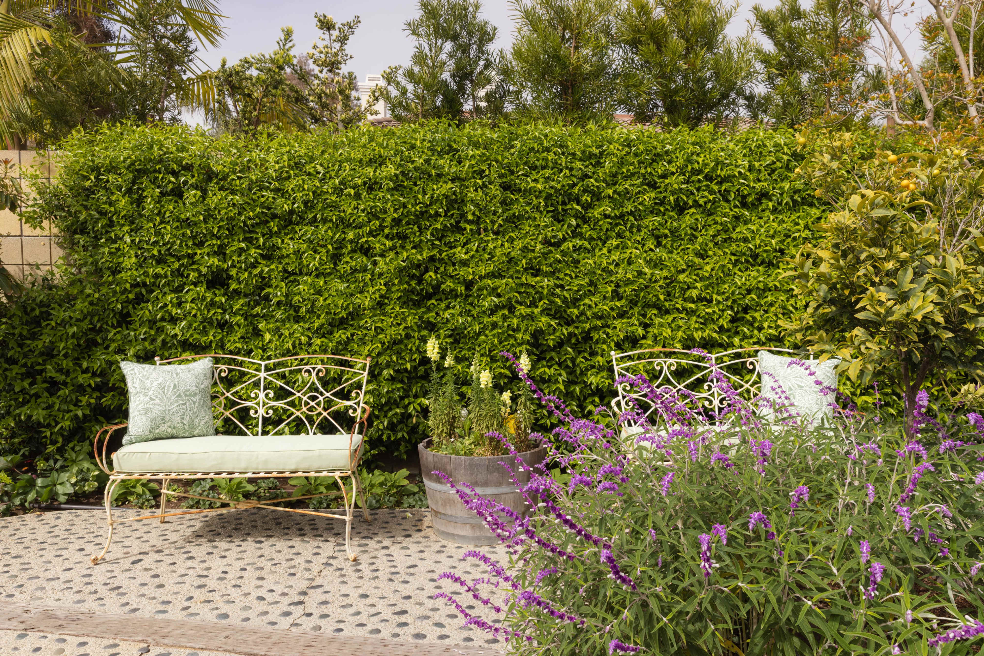 Cottage Garden Image in Huntington Beach, Huntington Beach, CA