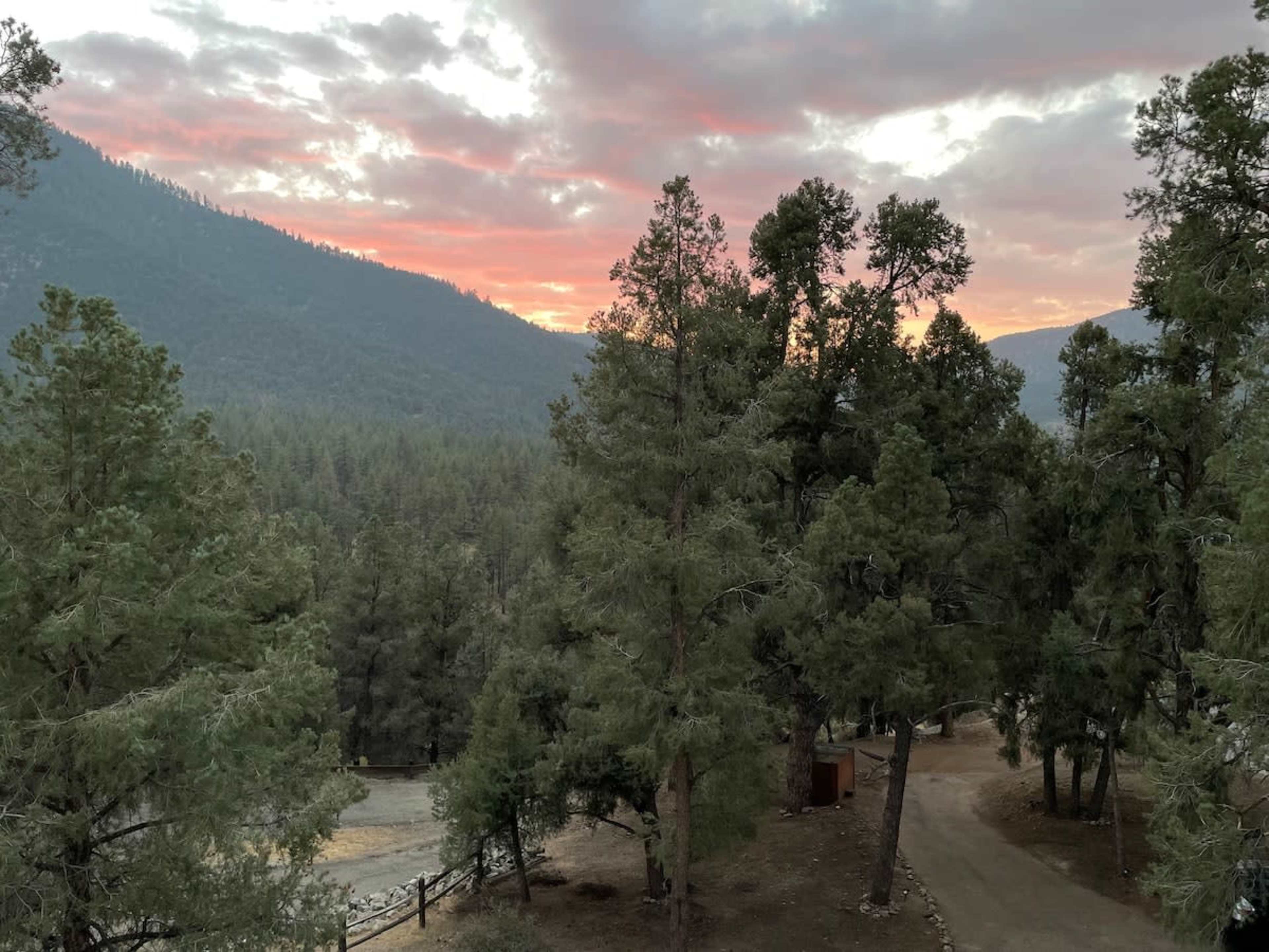 A forested landscape with tall trees and a dirt road leading through the greenery, under a sky painted with the colors of sunset.