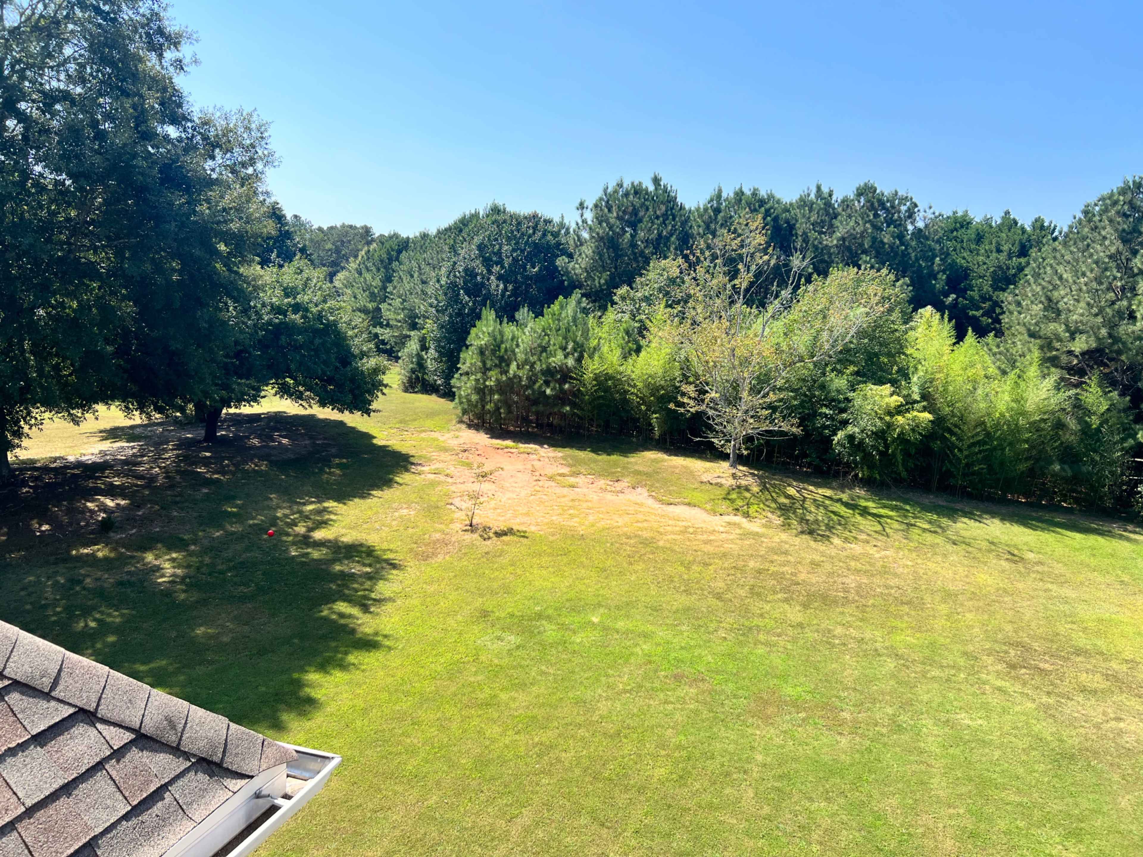 The image shows a grassy field bordered by trees on both sides under a clear blue sky.