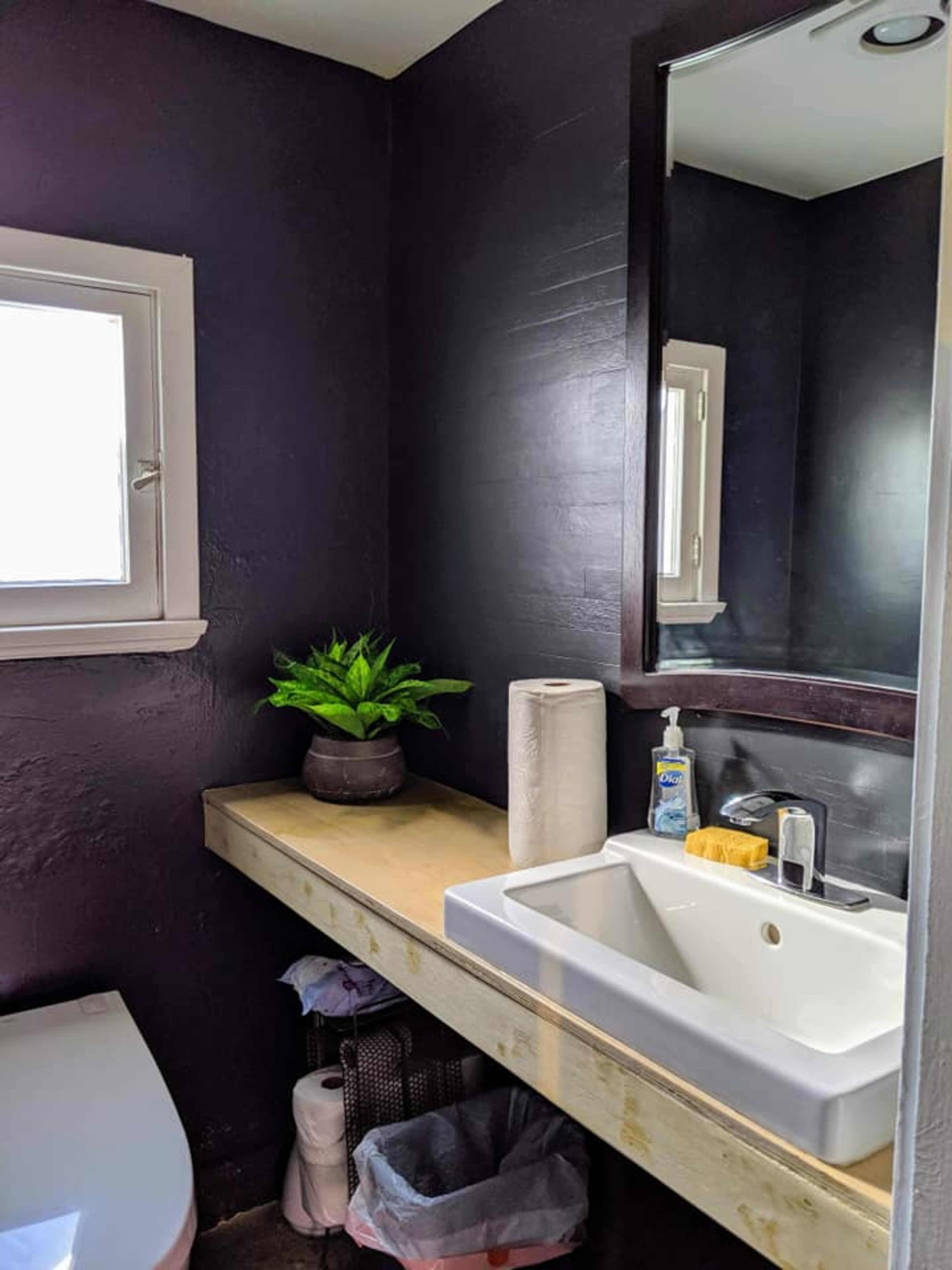 A modern bathroom features a white sink on a wooden countertop, a mirror above, a potted plant, and toiletries neatly arranged.