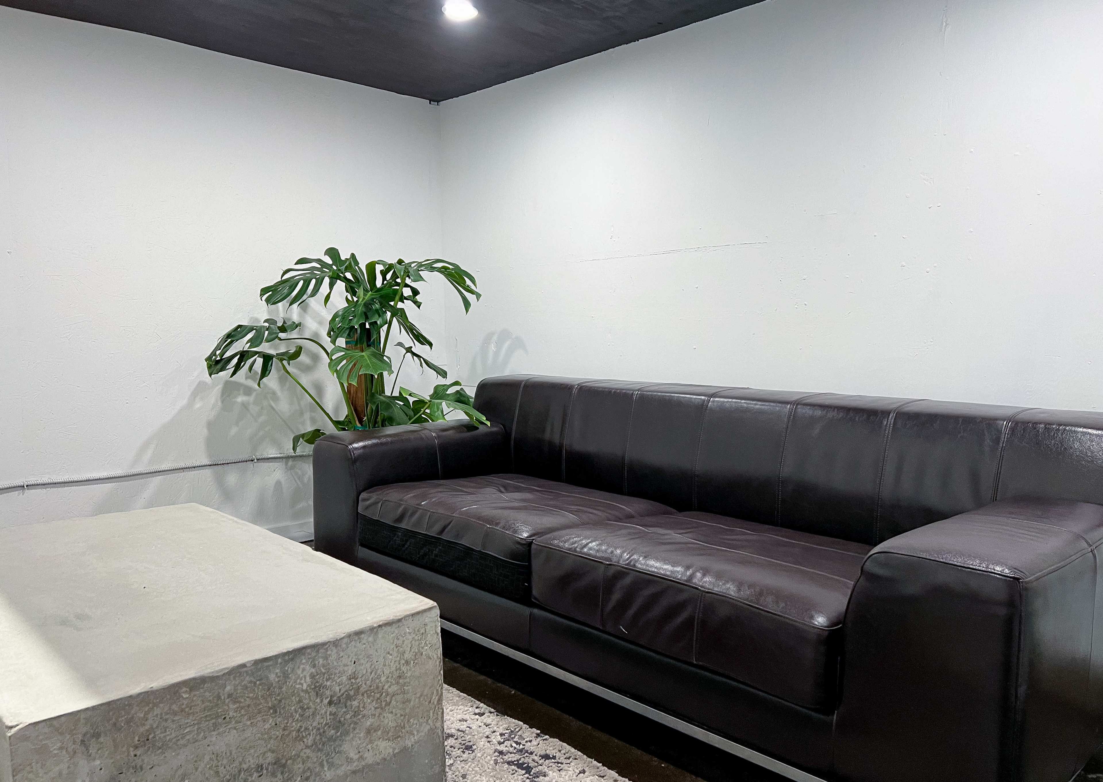 A low-lit room featuring a dark leather sofa, a concrete coffee table, and a potted plant against a white wall.