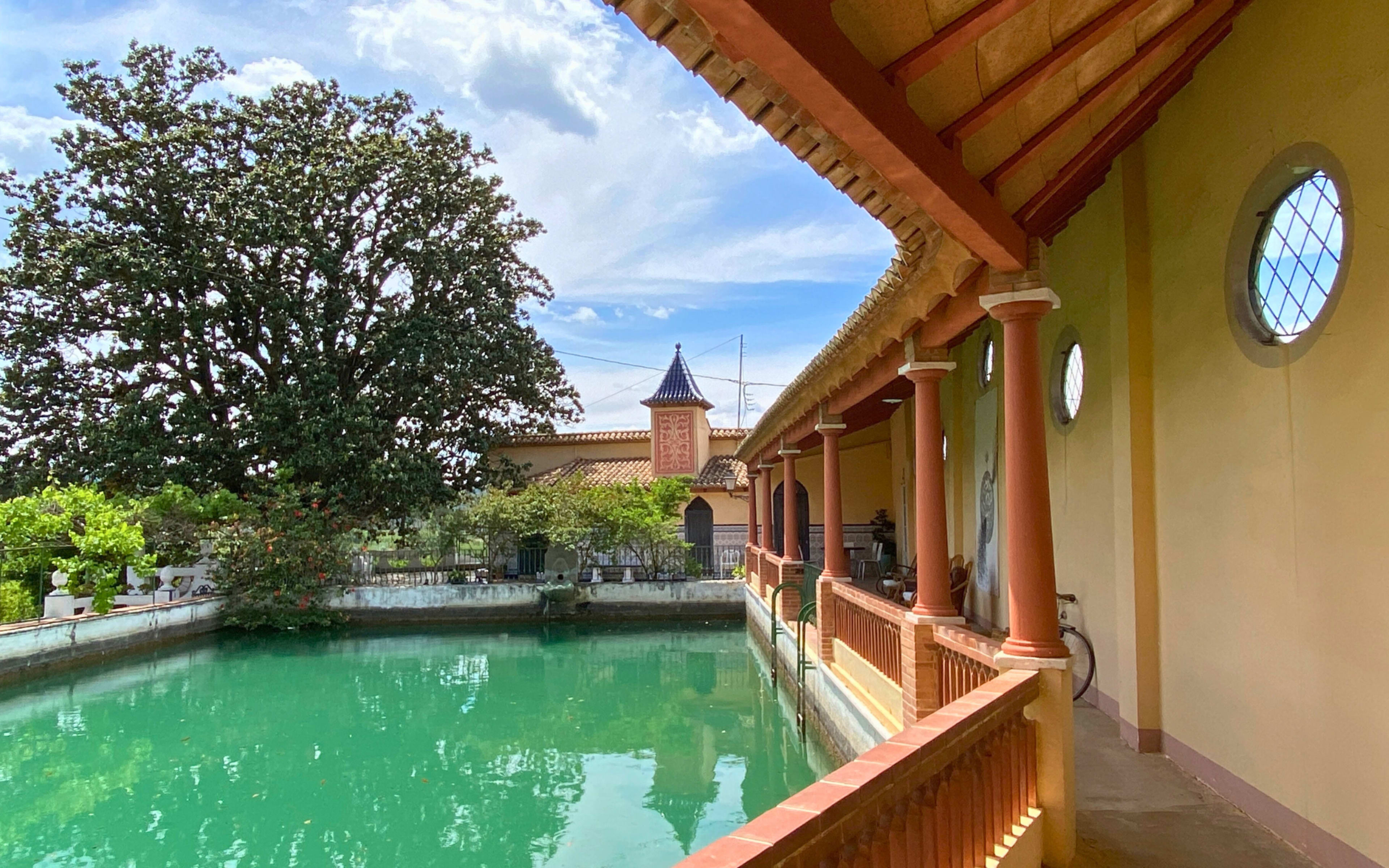 A tranquil courtyard features a green pond surrounded by lush vegetation and a building with a tiled roof and circular windows.