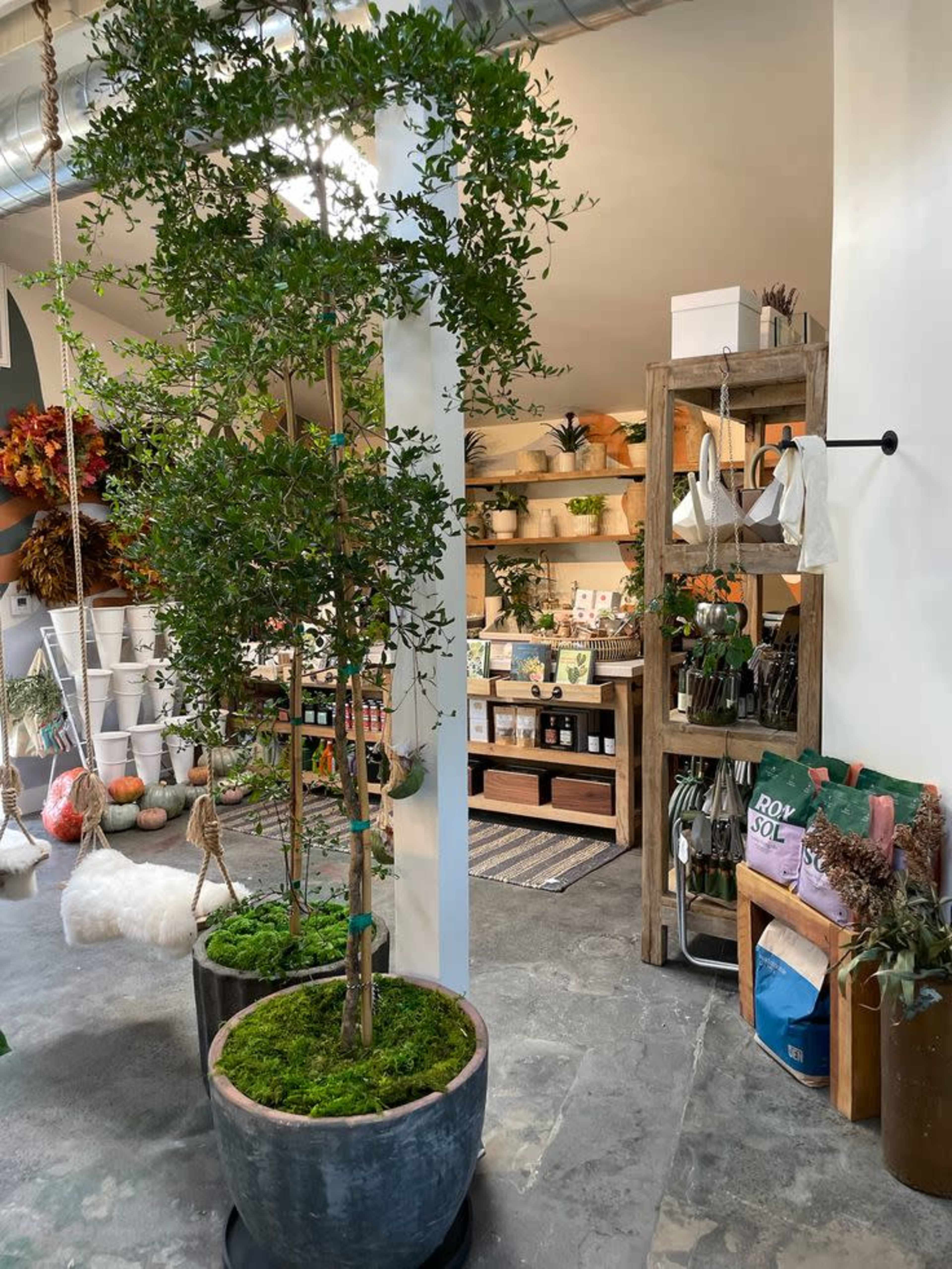 The image shows a modern indoor plant shop featuring various potted plants, gardening supplies, and decorative items arranged on wooden shelves.