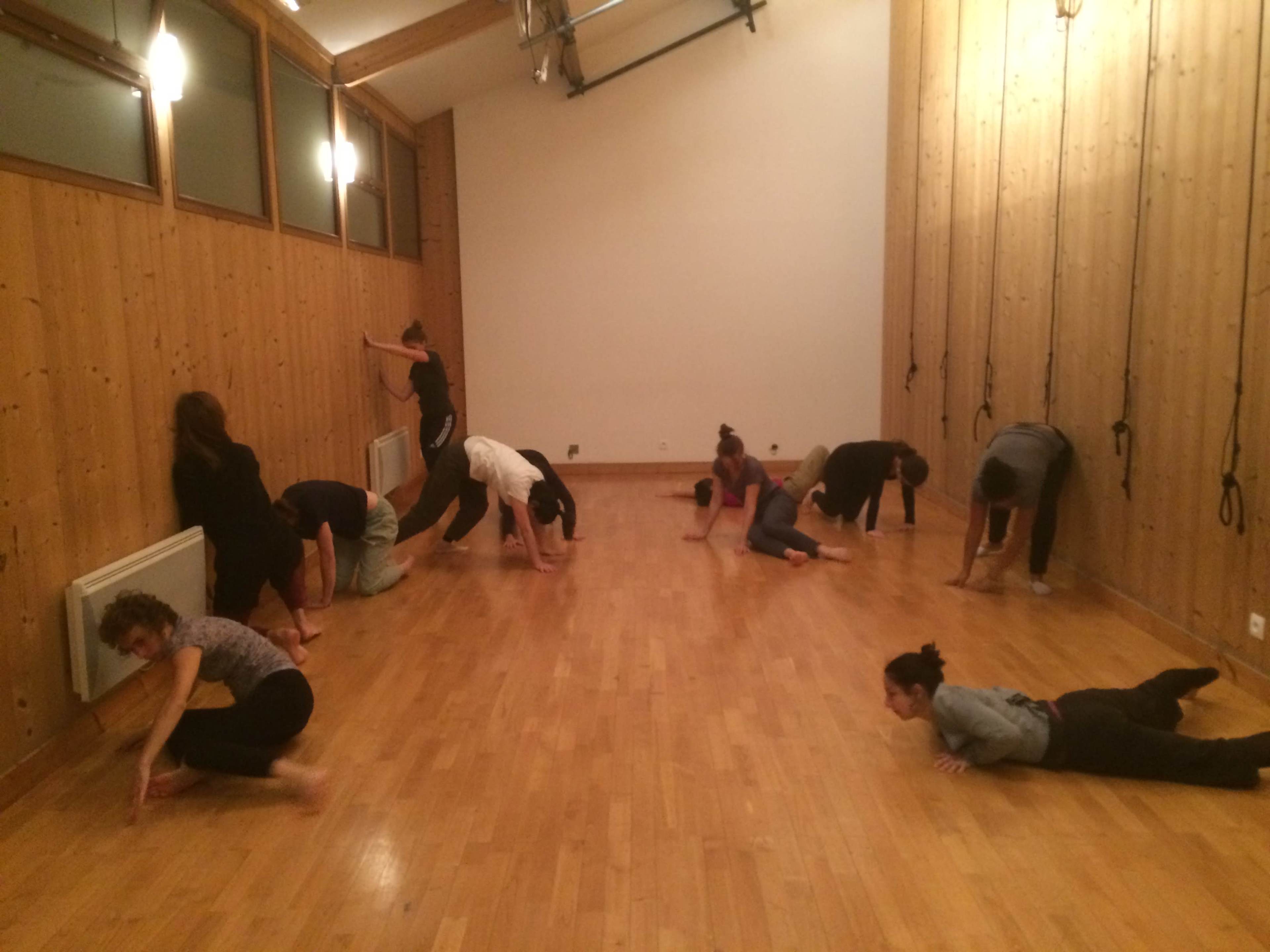 Studio de yoga et de danse tout en bois proche de Paris Image in , Charenton-le-Pont