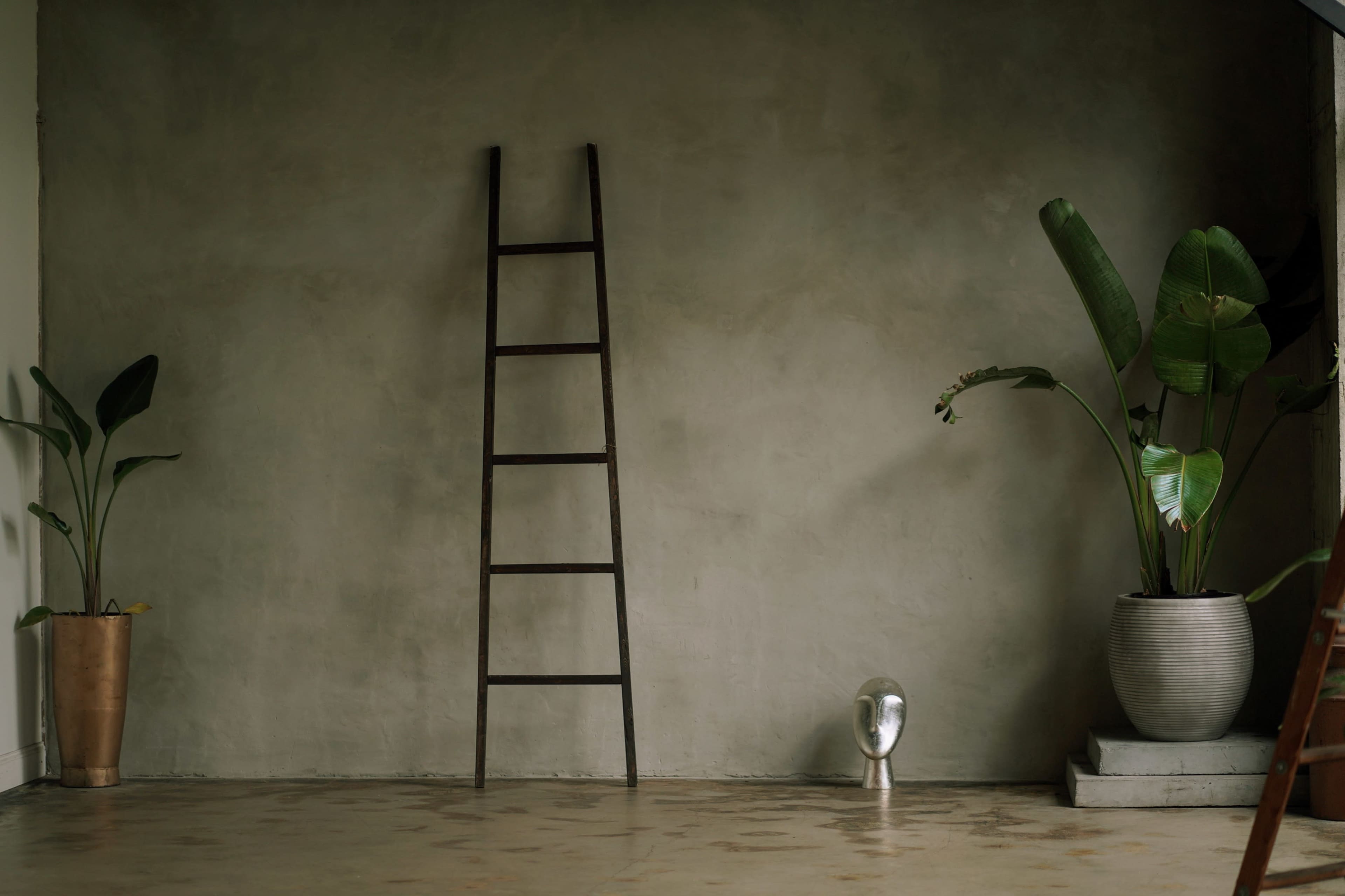 A metal ladder stands against a textured gray wall, accompanied by potted plants in decorative containers.