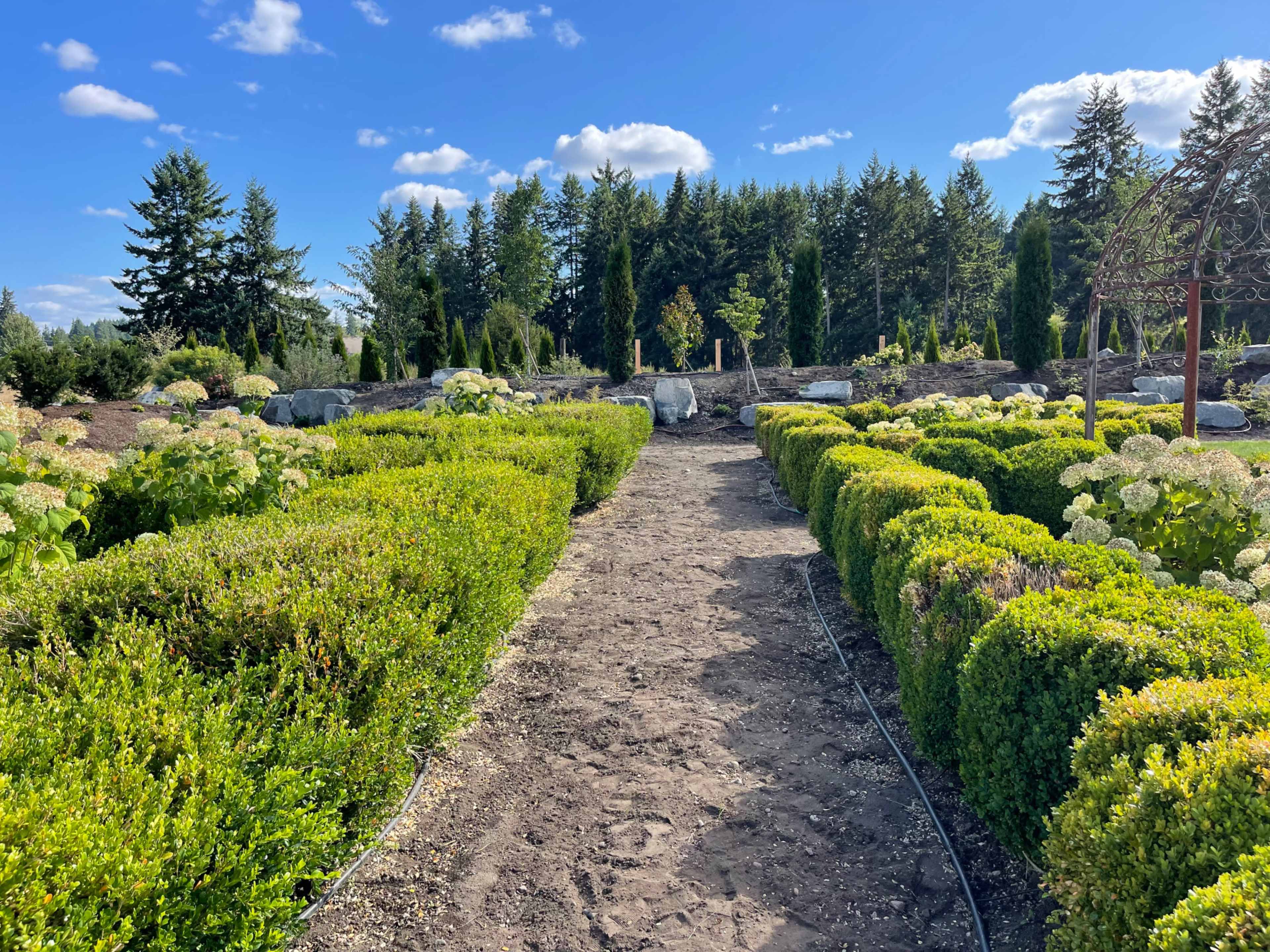 A dirt path bordered by neatly trimmed hedges leads through a landscaped garden with flowering plants and trees in the background.