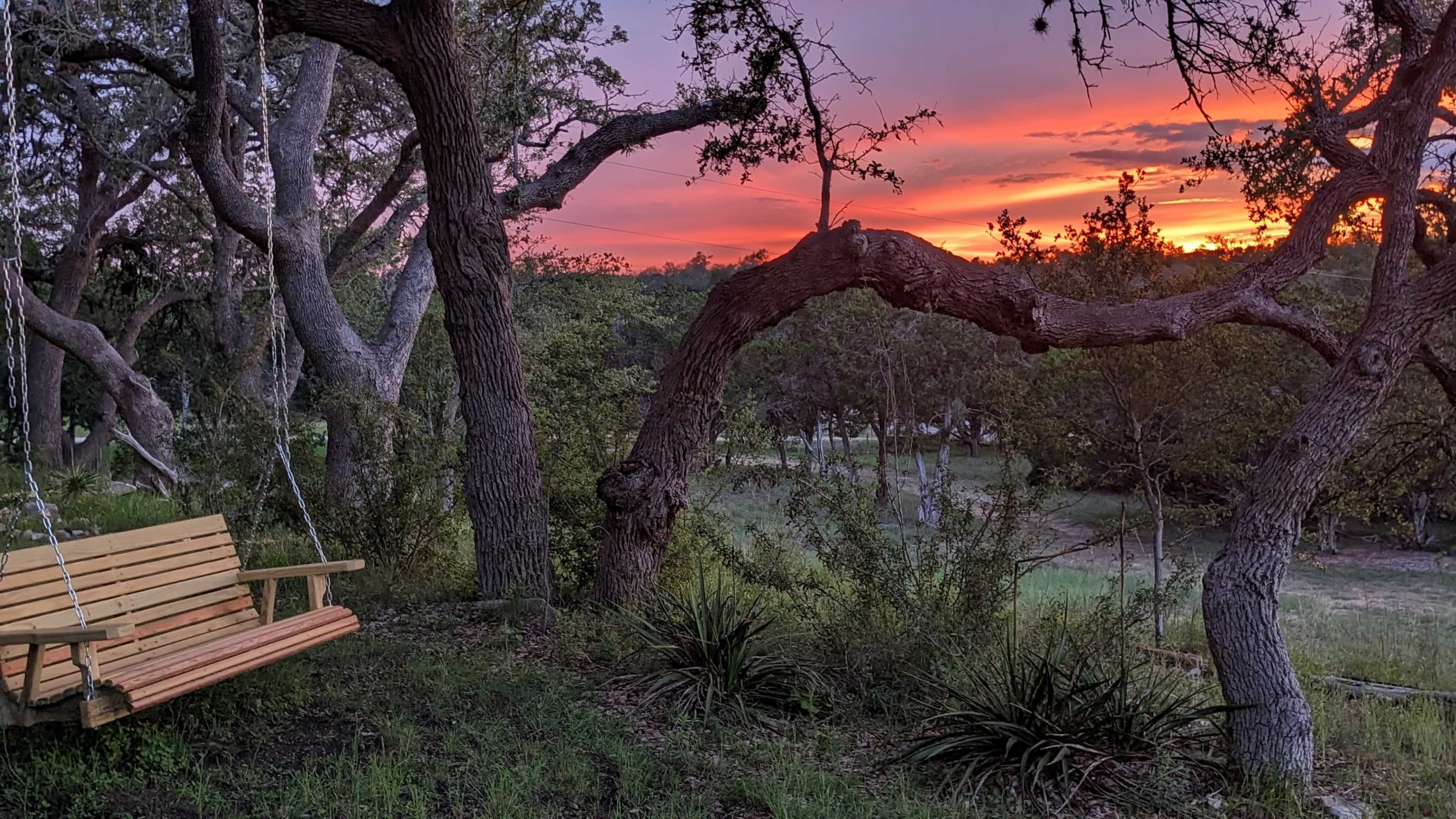 A wooden swing hangs from a tree branch amidst a green landscape as the sun sets behind the horizon, casting vibrant colors in the sky.