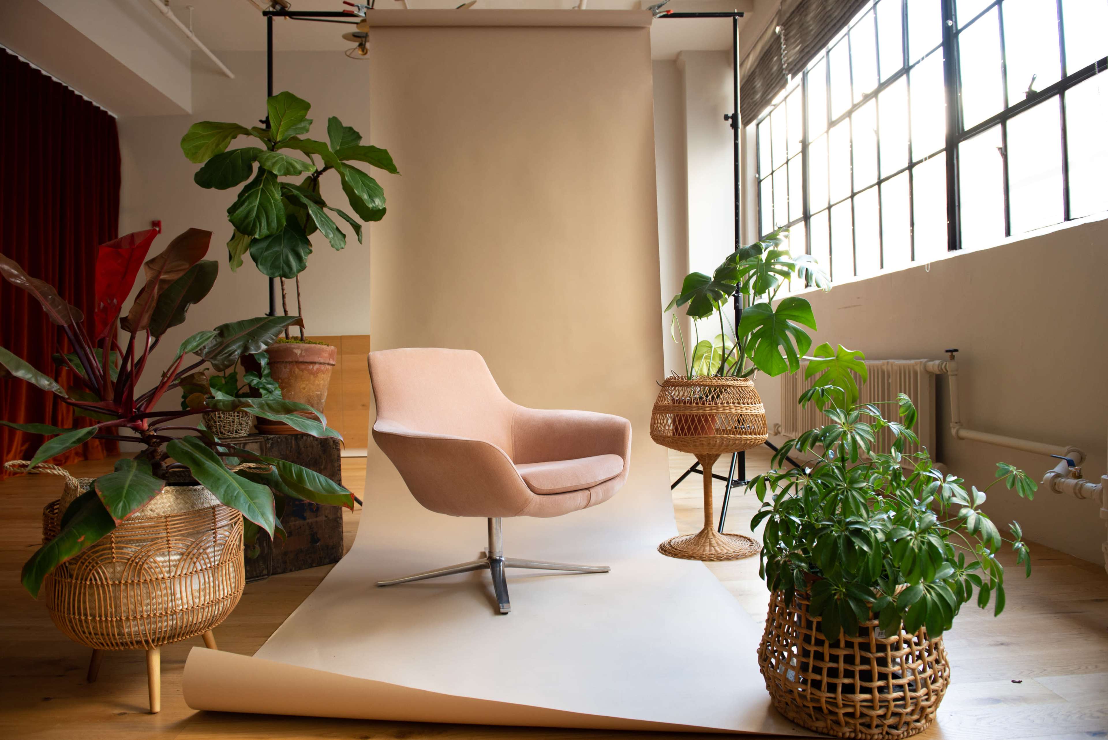 A soft pink chair is positioned on a neutral backdrop surrounded by various potted plants in woven baskets.