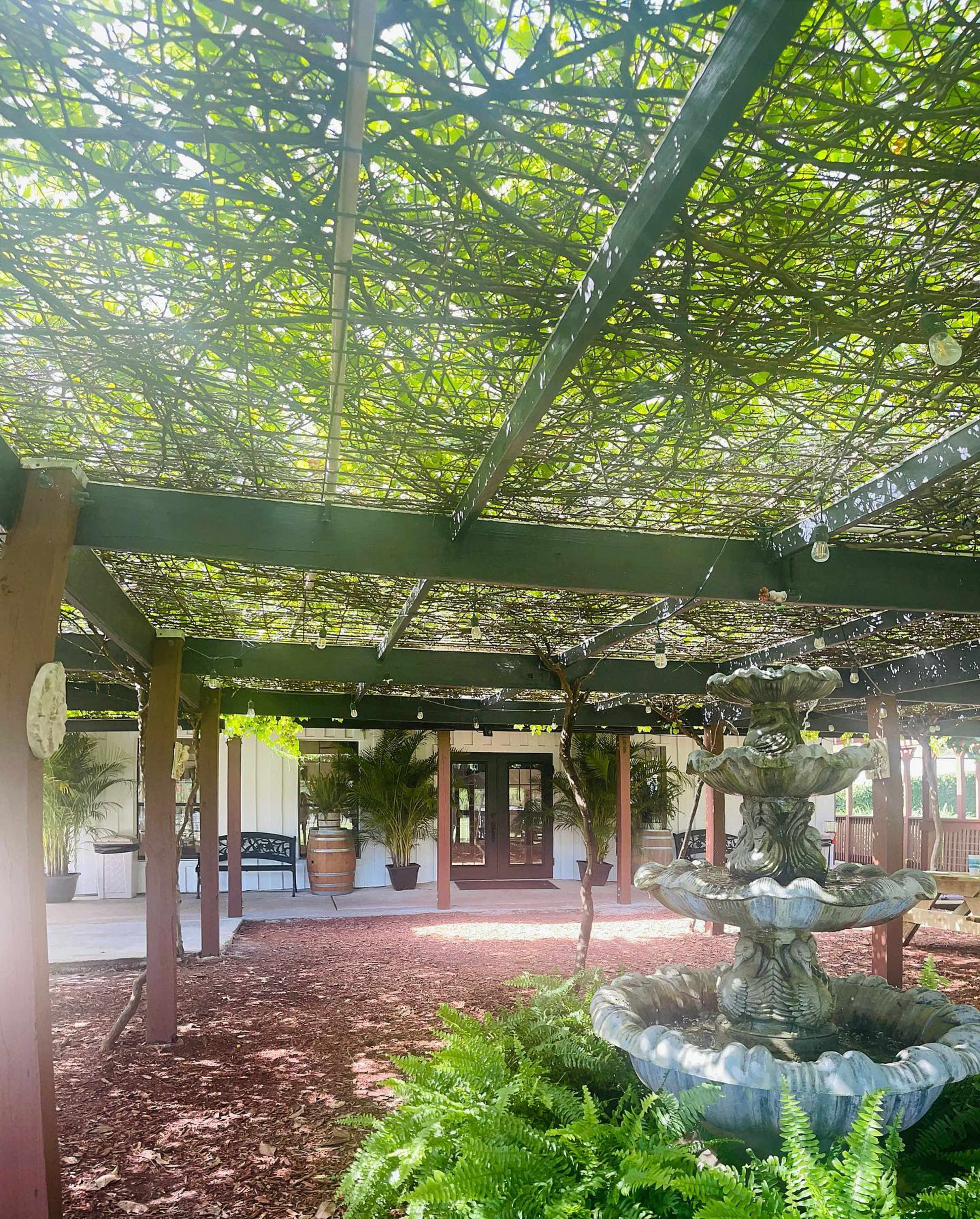 A shaded outdoor area features a fountain surrounded by greenery and a trellis overhead.