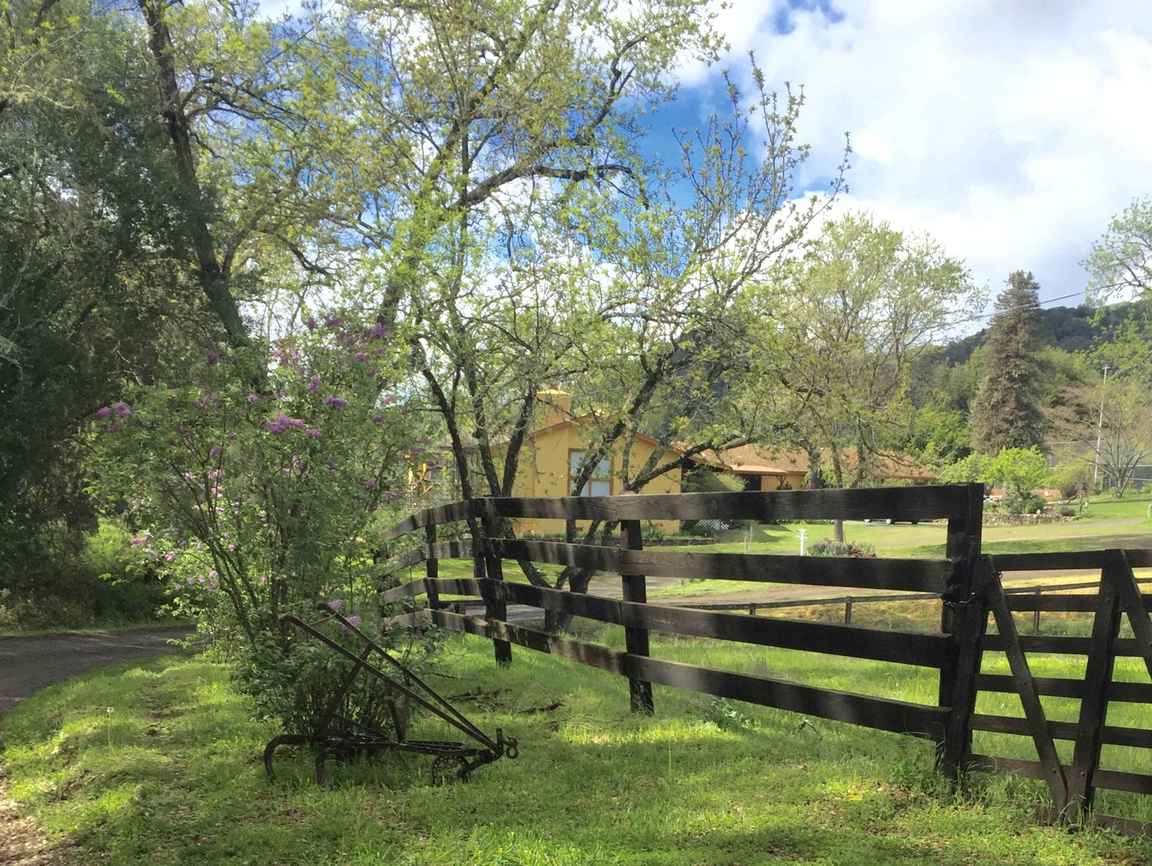A wooden fence borders a gravel path, with a flowering bush beside it and a house partially visible among trees in the background.