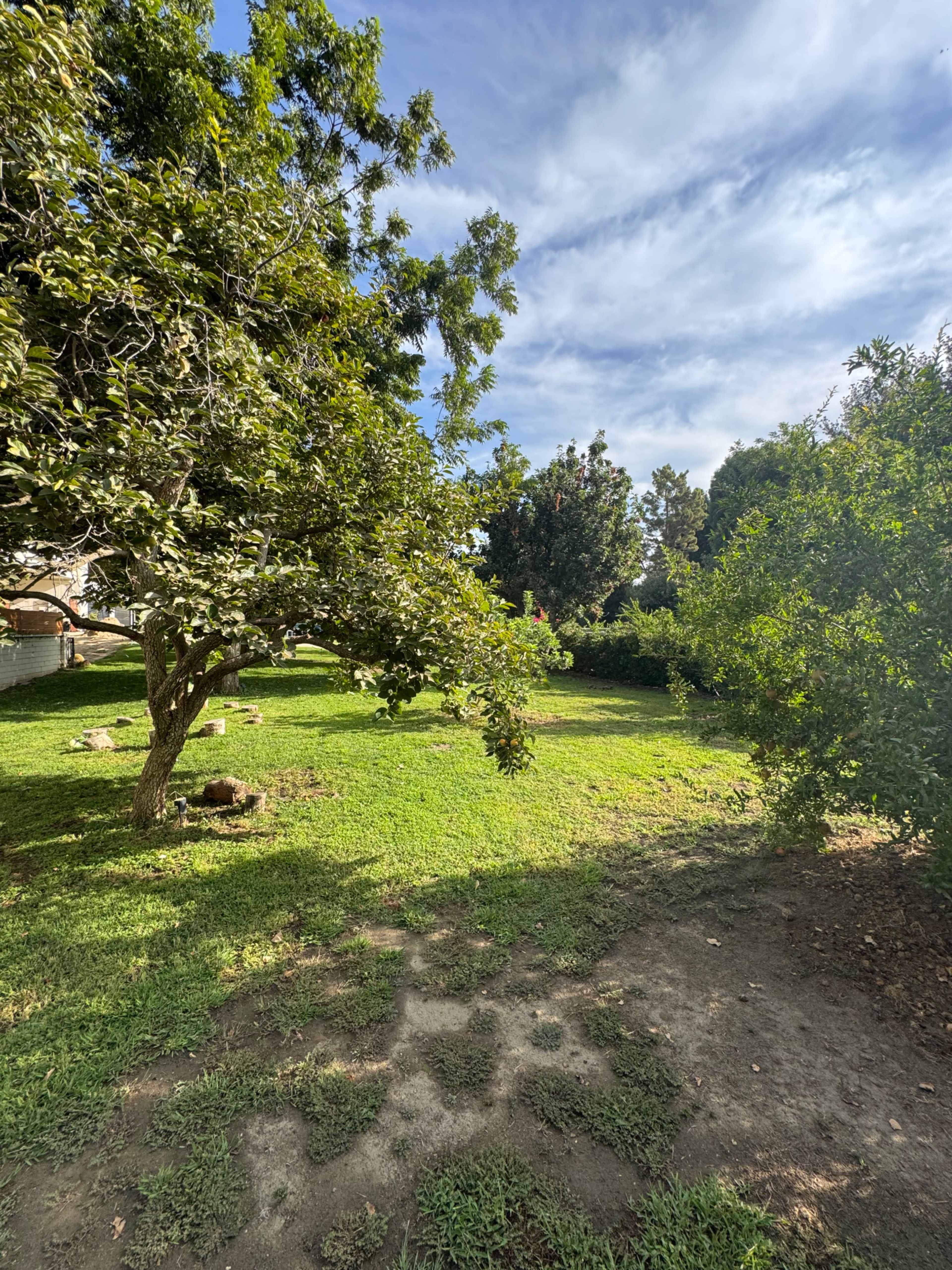 Havenwood Homestead Image in Panorama, Bakersfield, CA