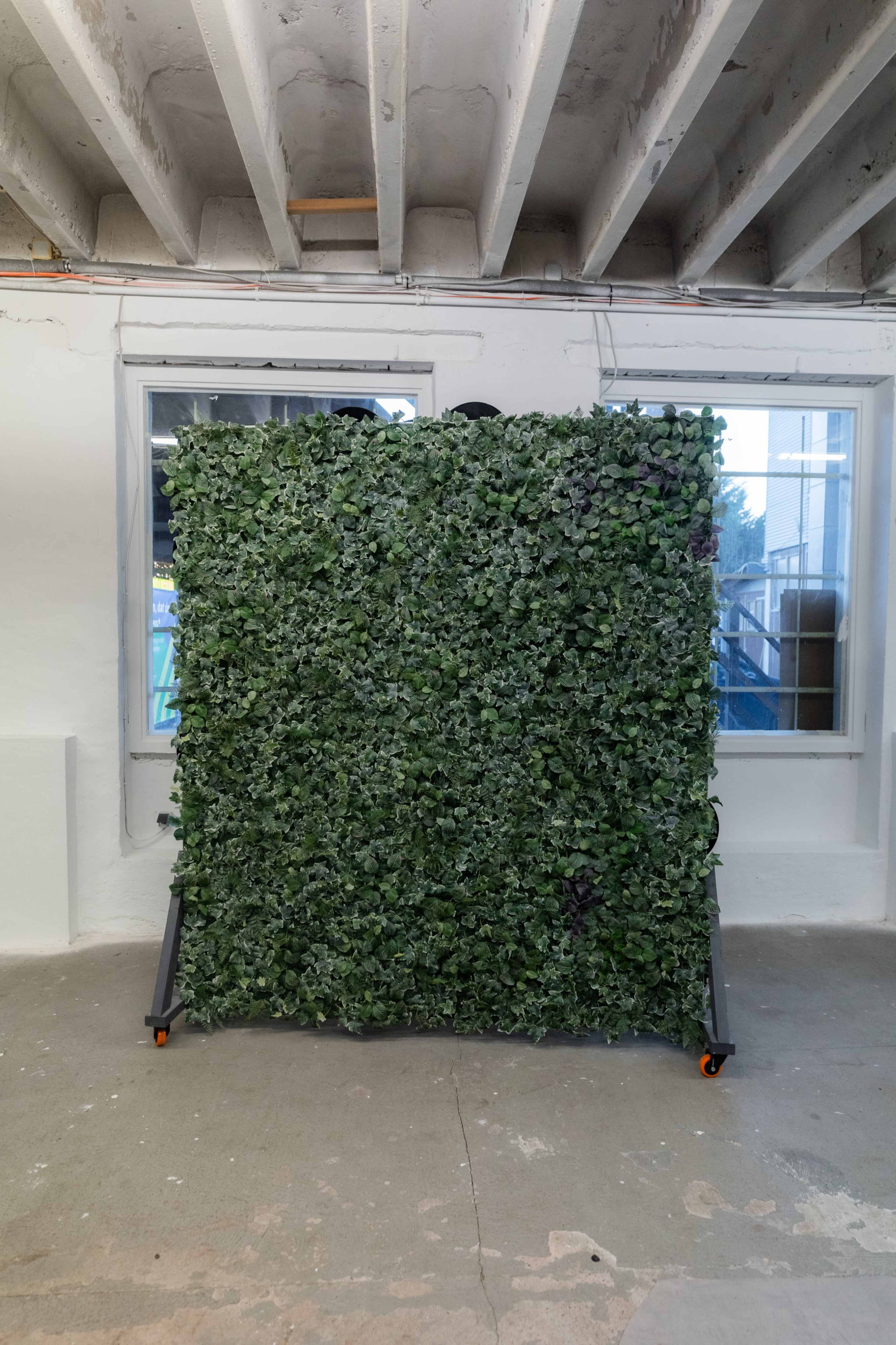 A movable wall covered in lush green foliage stands in a room with concrete flooring and large windows.