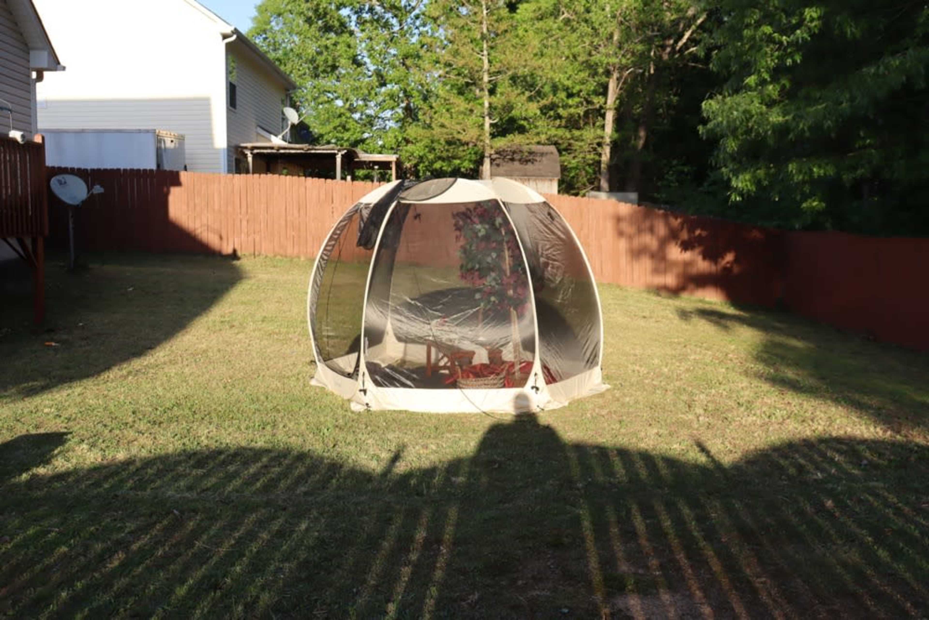 A transparent tent is set up in a grassy backyard surrounded by a wooden fence and trees.