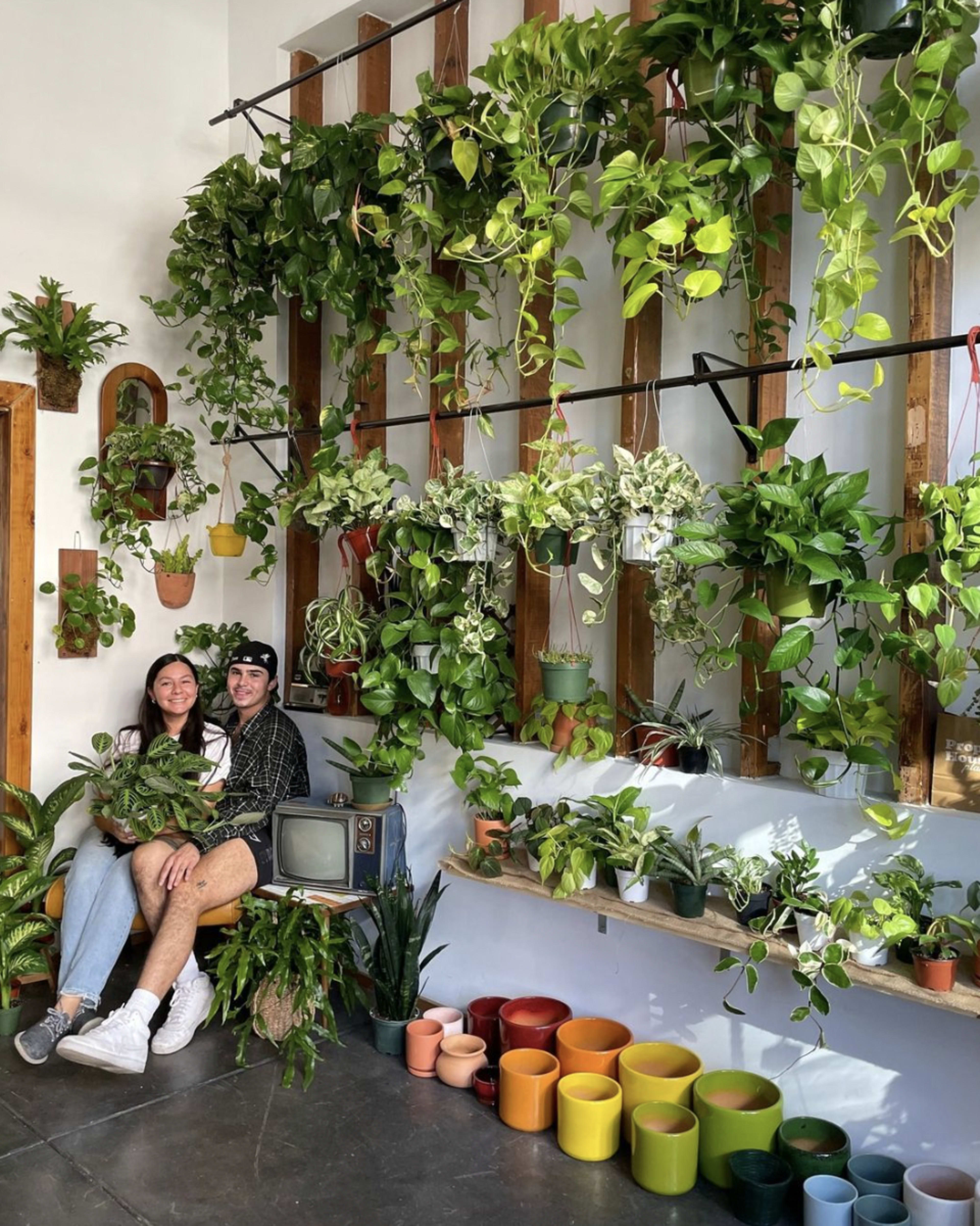 Two people sit together in a room filled with various hanging and potted plants, with shelves of colorful pots lining the floor.