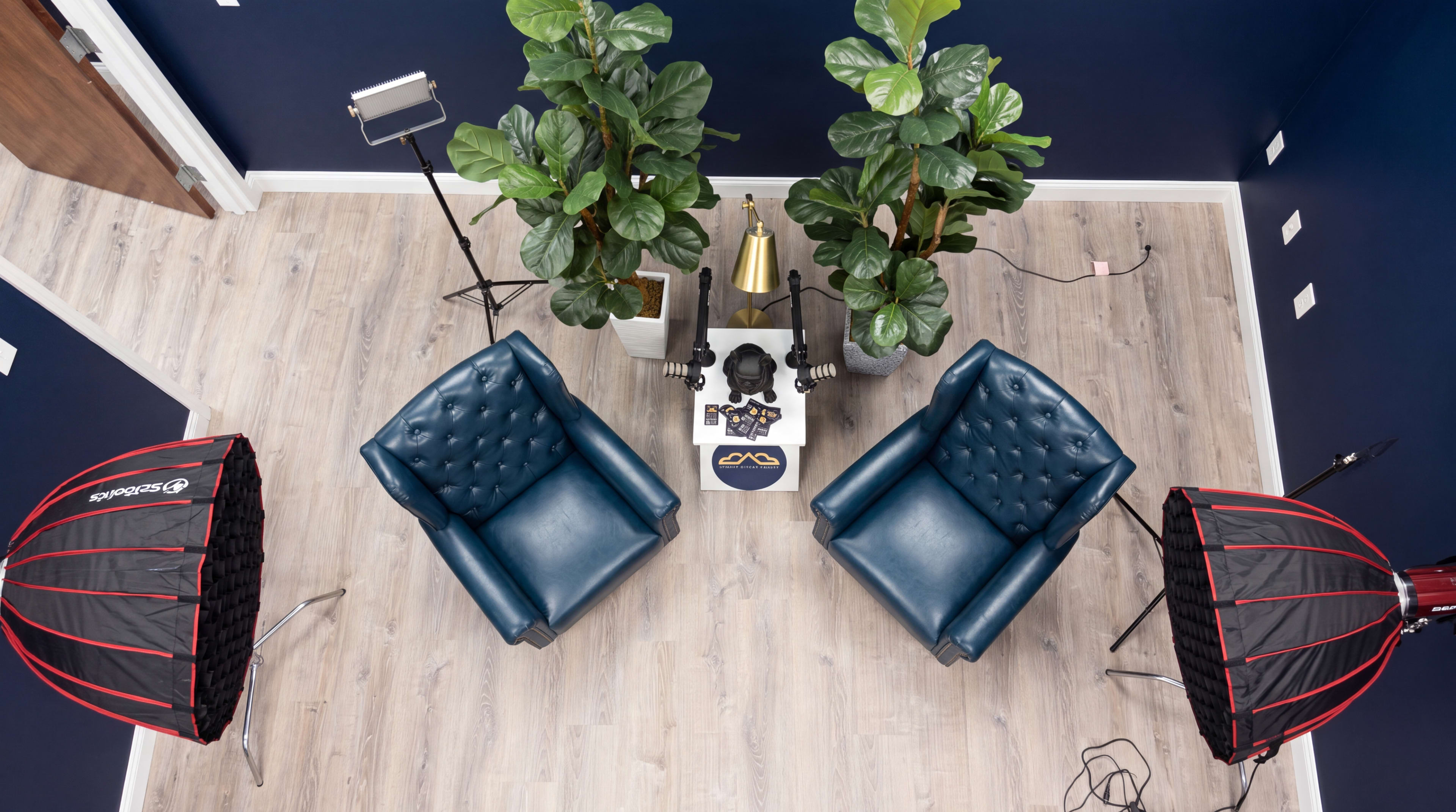 The image shows a modern studio setup with two blue armchairs facing each other, surrounded by potted plants, and studio lights positioned nearby.