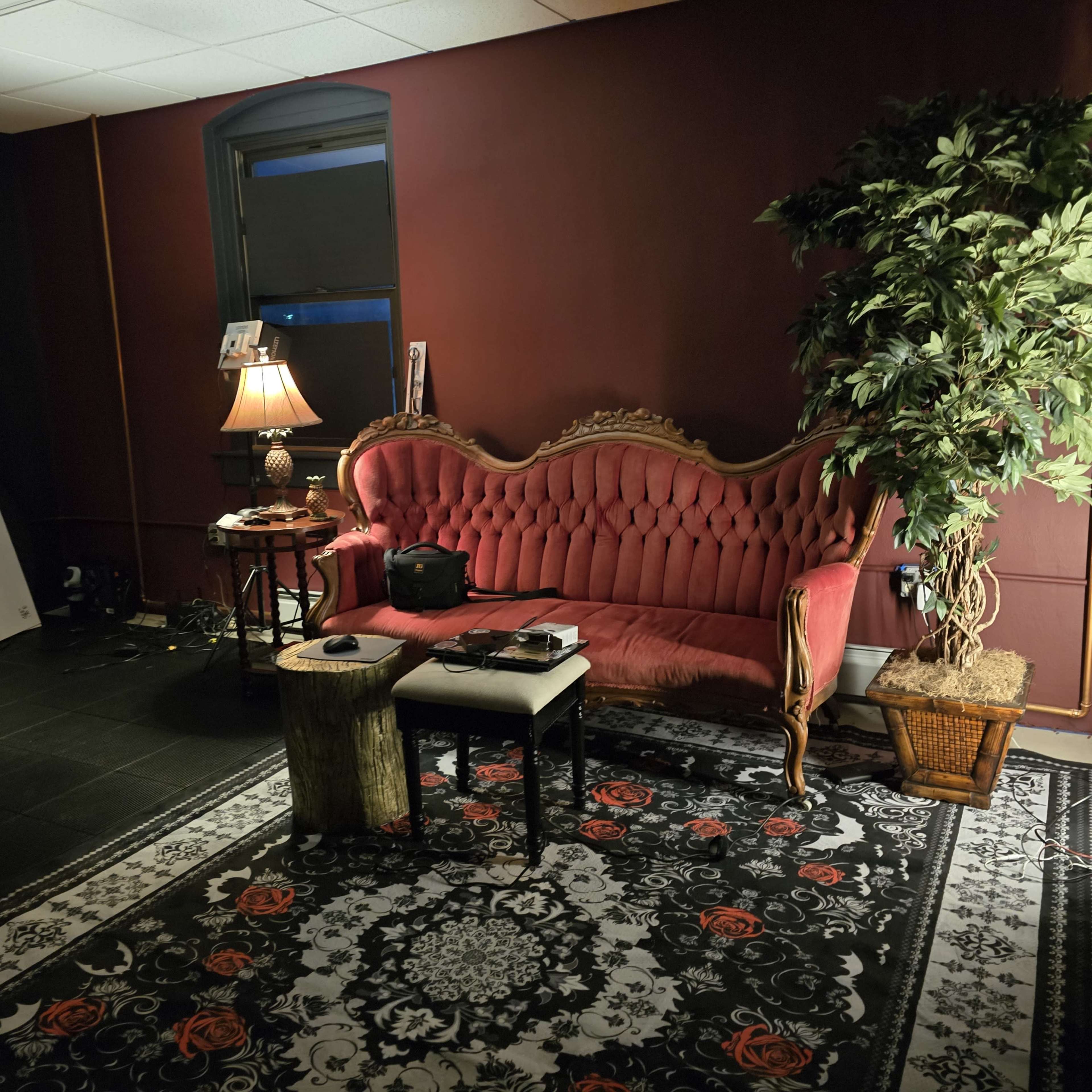 The image shows a vintage red velvet sofa placed against a dark wall, accompanied by a small table and a potted plant in the corner.
