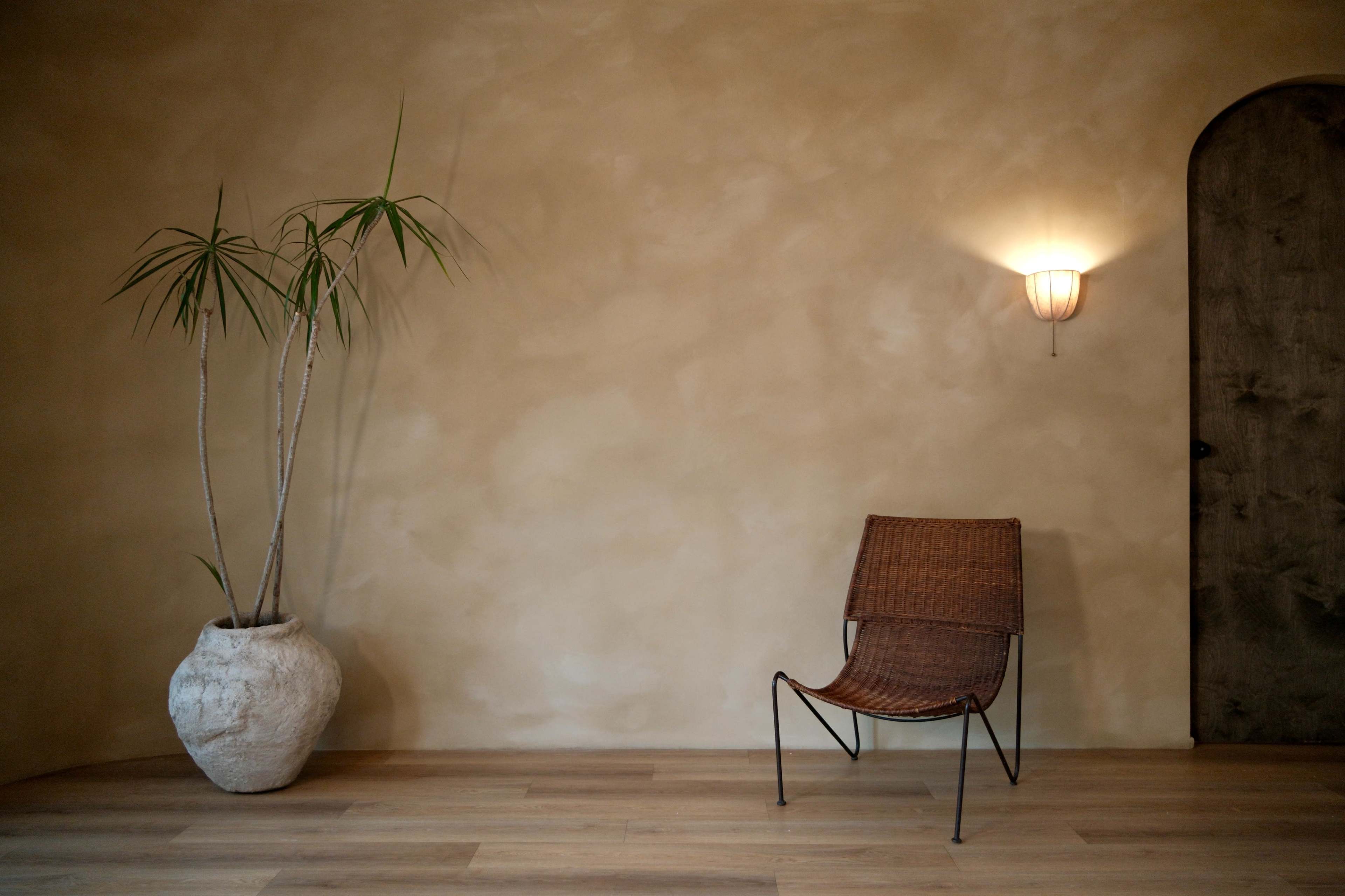 The image features a minimalist interior with a tall plant in a textured pot, a wire chair, and a doorway illuminated by a wall sconce.